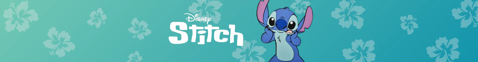 Stitch caciuli banner