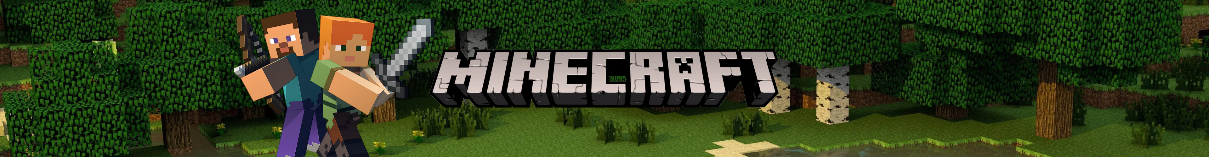 Minecraft caiete banner