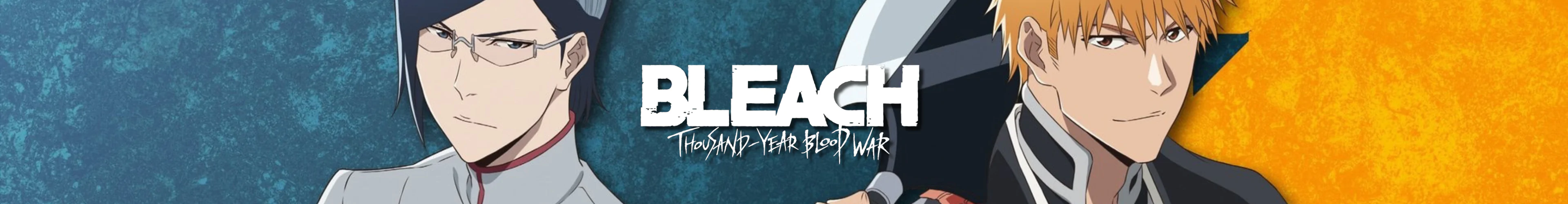 Bleach pulovere banner