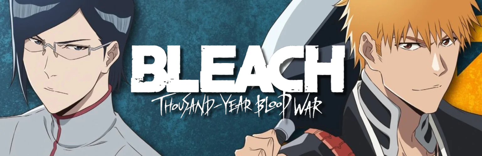 Bleach pulovere banner mobil