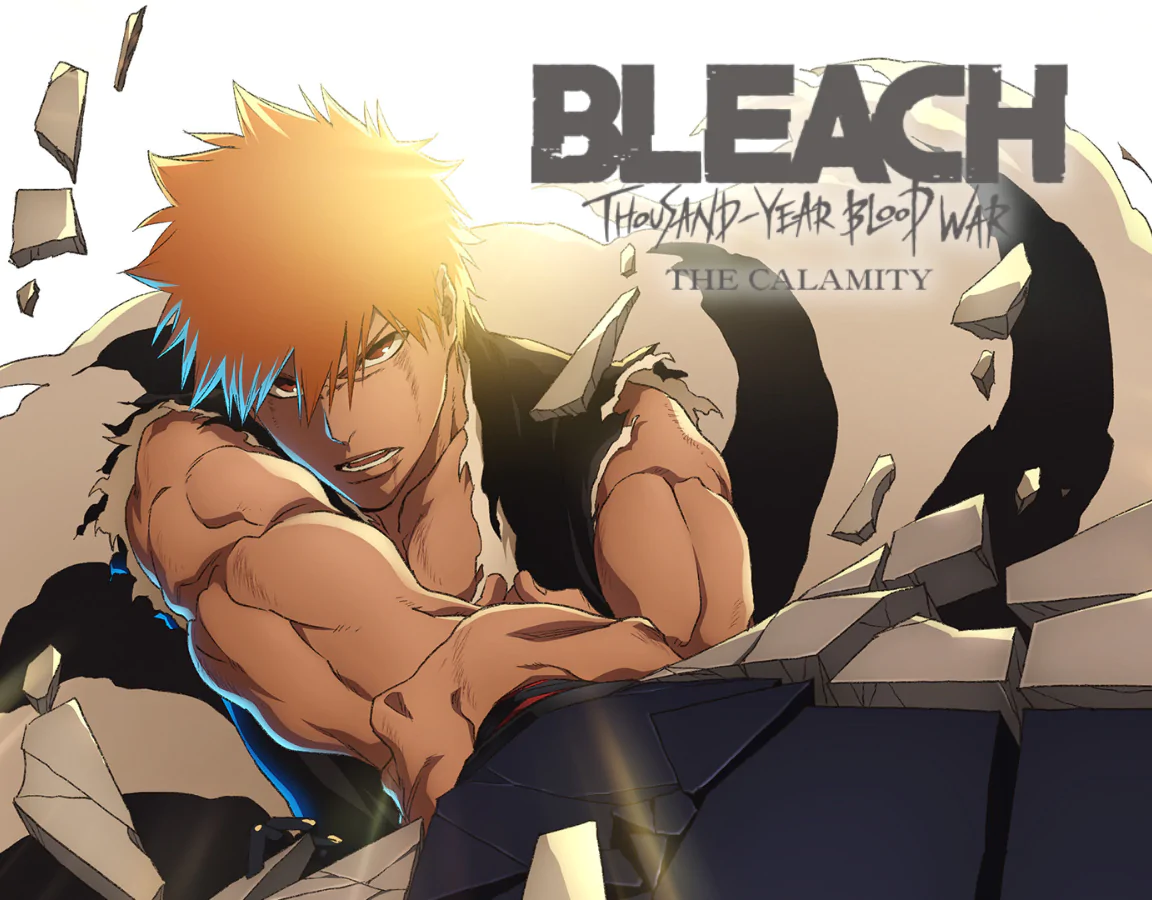 Bleach produse banner