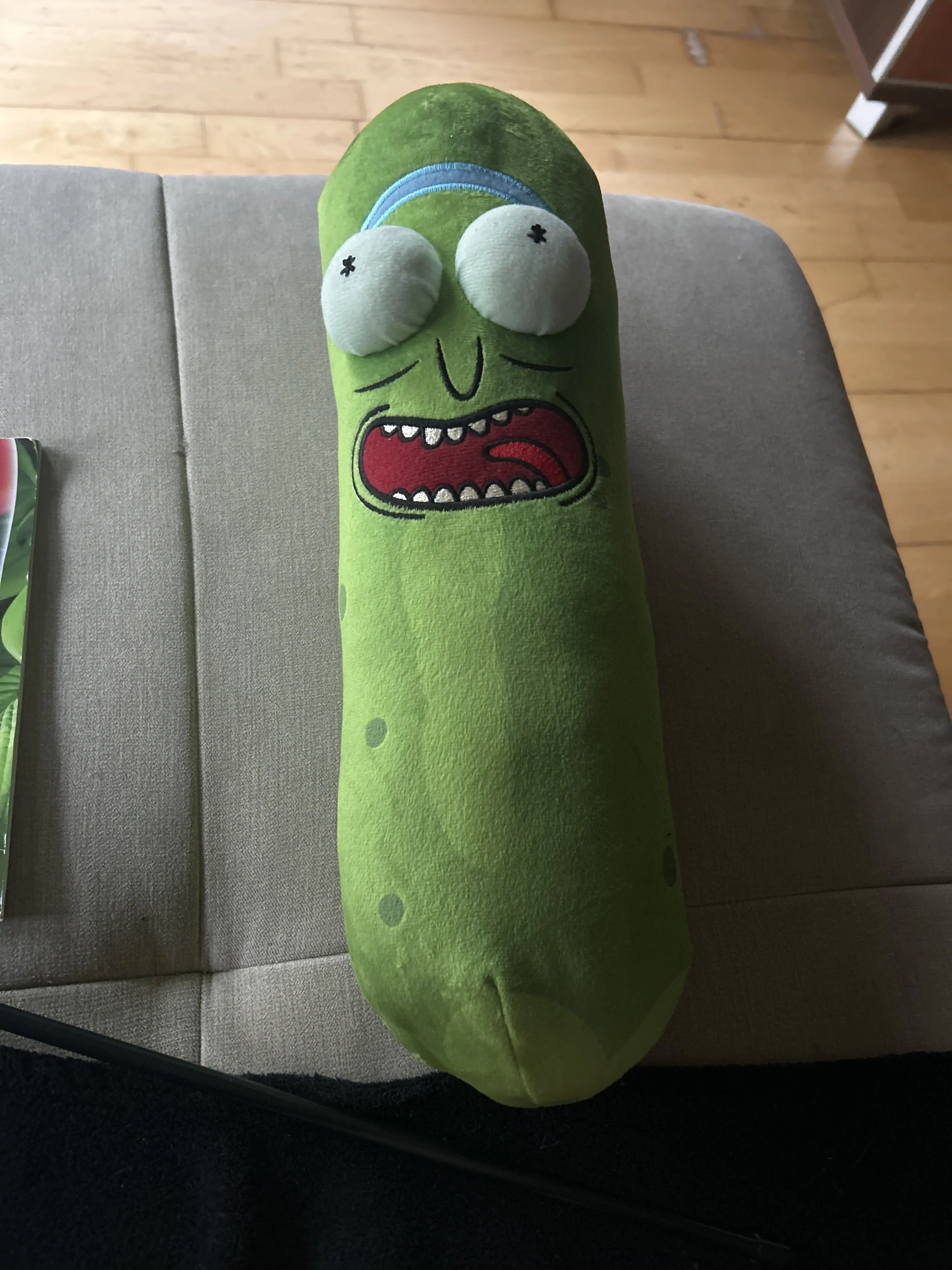 Rick and Morty Pickle Rick jucărie de pluș 38 cm poza produsului