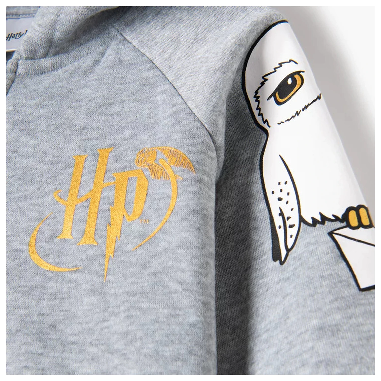 Harry Potter Hedwig Grey Set de trening, Set de jogging pentru copii poza produsului