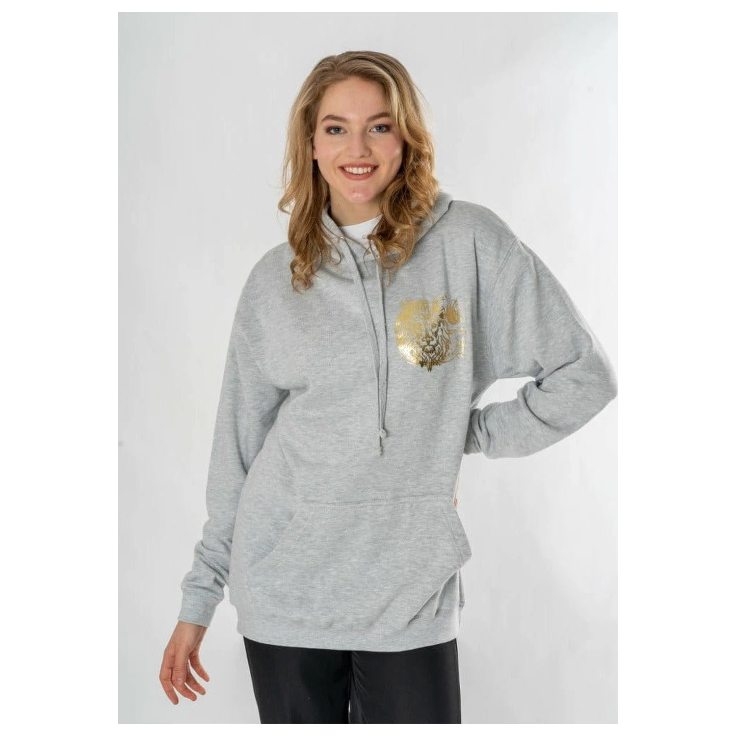 Harry Potter Hooded Pulover Gryffindor Zodiac poza produsului