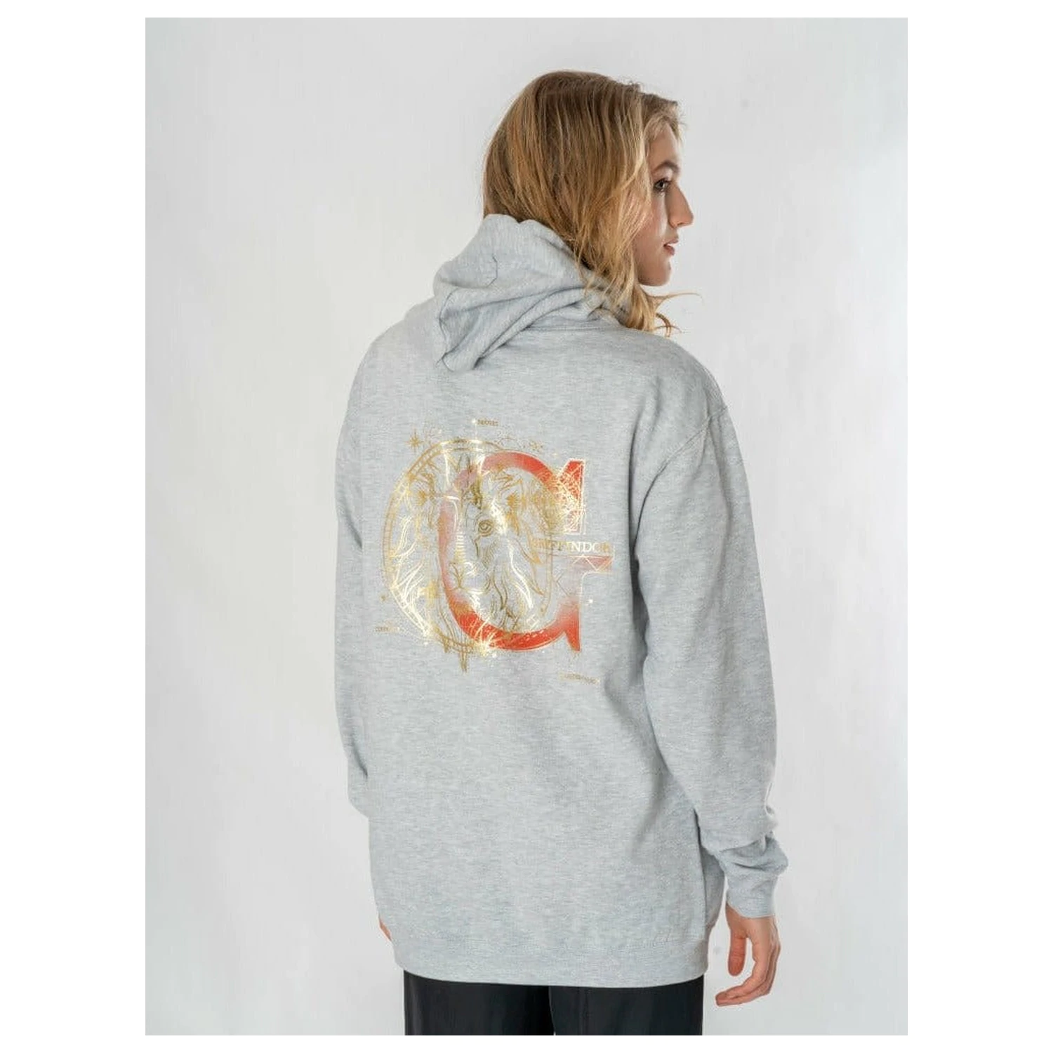 Harry Potter Hooded Pulover Gryffindor Zodiac poza produsului