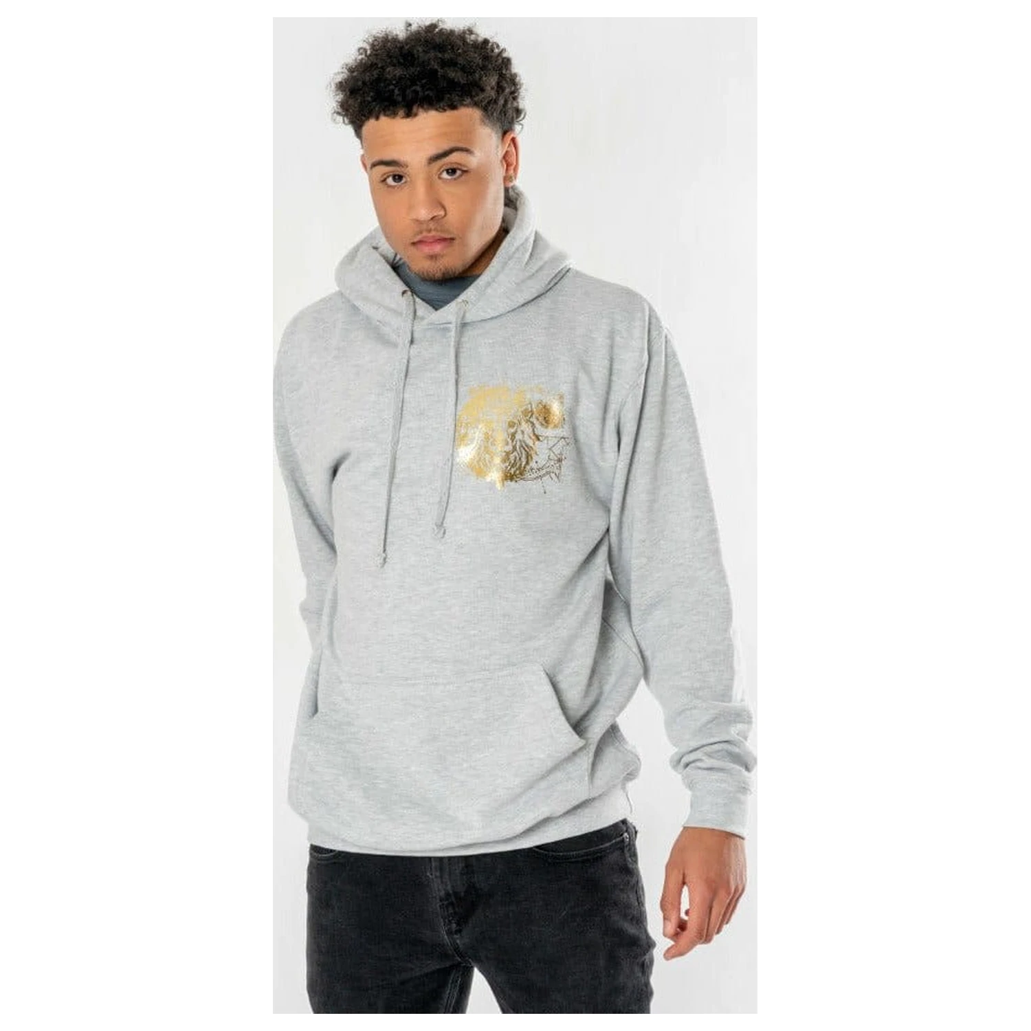 Harry Potter Hooded Pulover Gryffindor Zodiac poza produsului