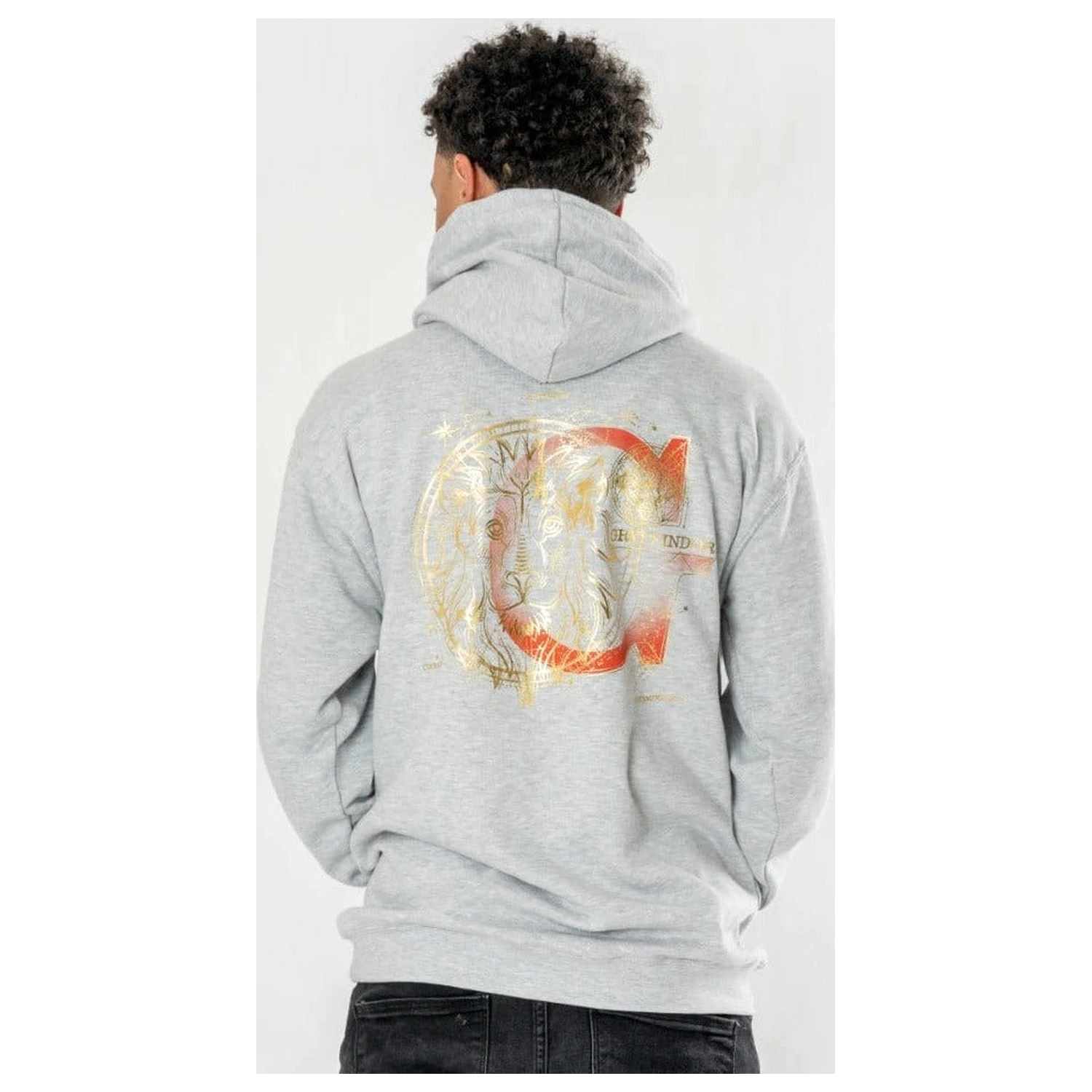 Harry Potter Hooded Pulover Gryffindor Zodiac poza produsului