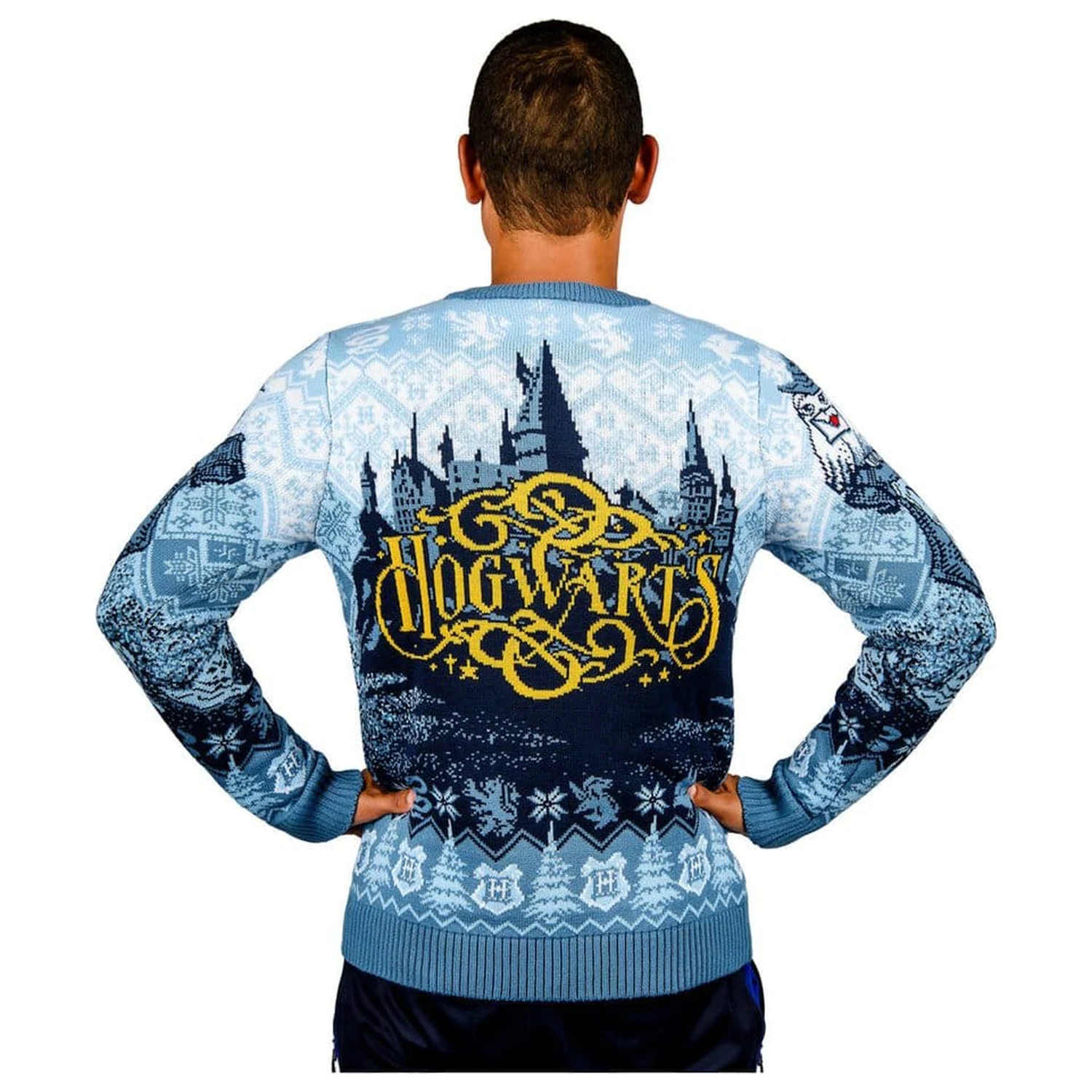 Harry Potter Hogwarts pulover de Crăciun poza produsului