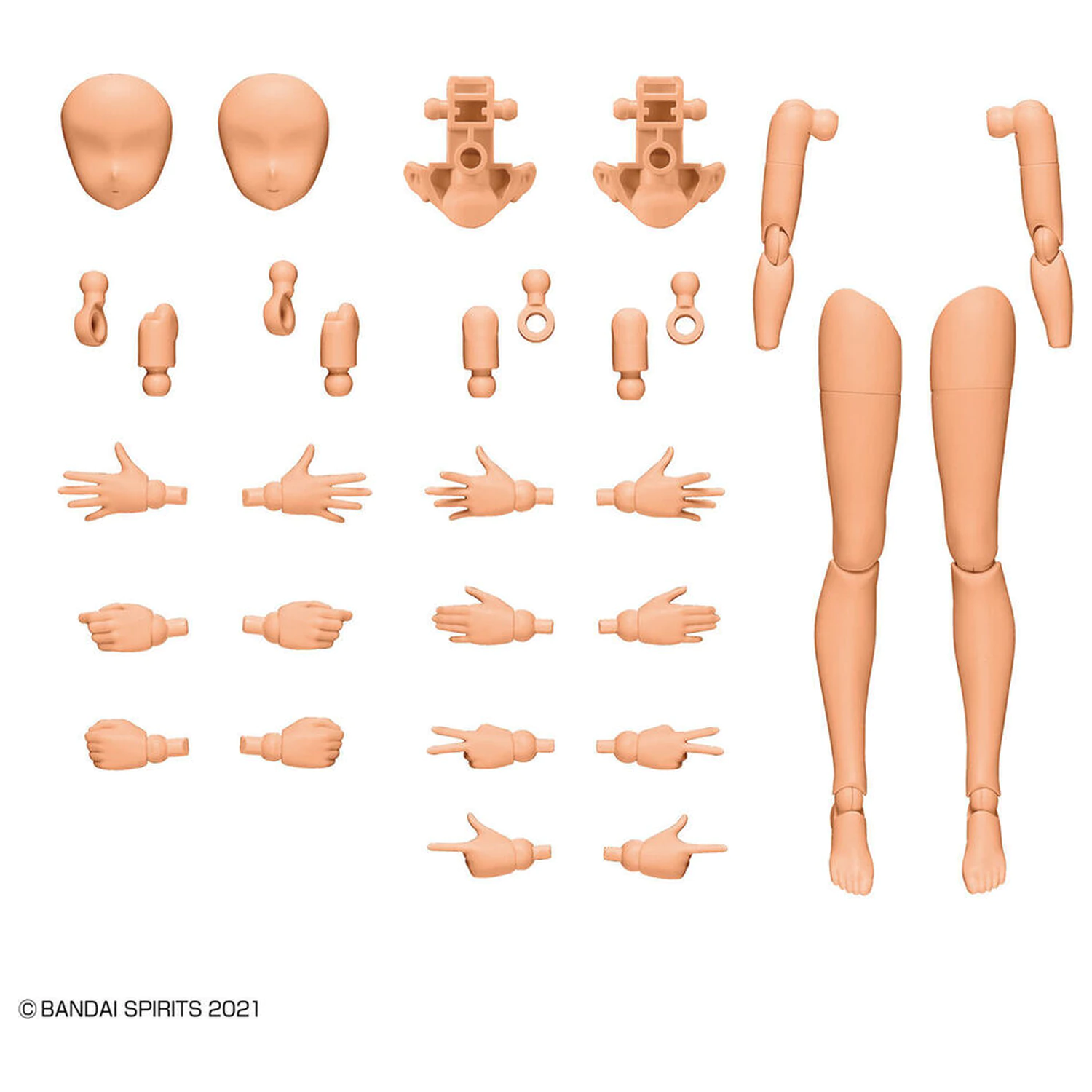 30MS Body Parts Set de piese pentru brate si picioare Culoare C poza produsului