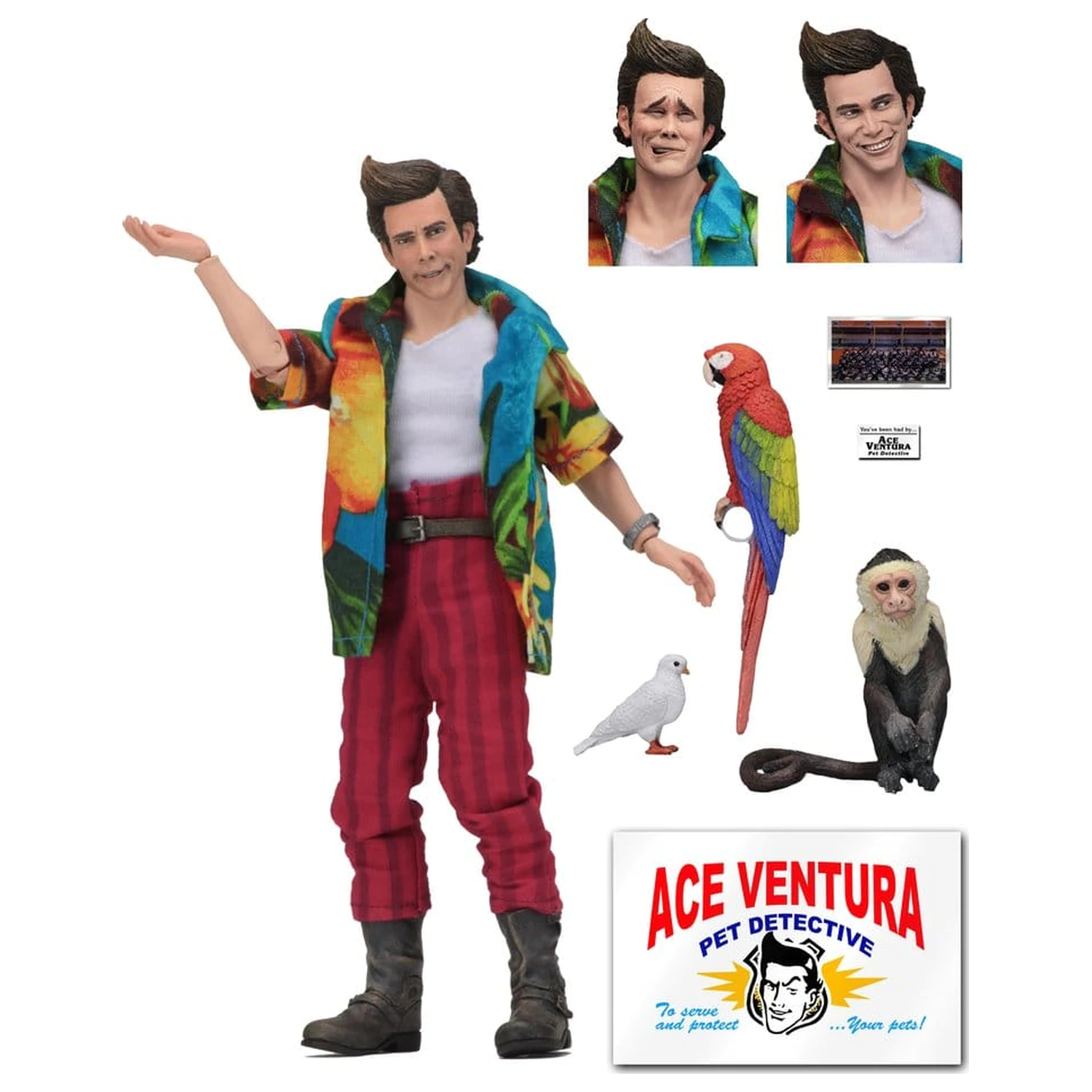Ace Ventura figurina de acțiune îmbrăcată Ace Ventura 20 cm poza produsului