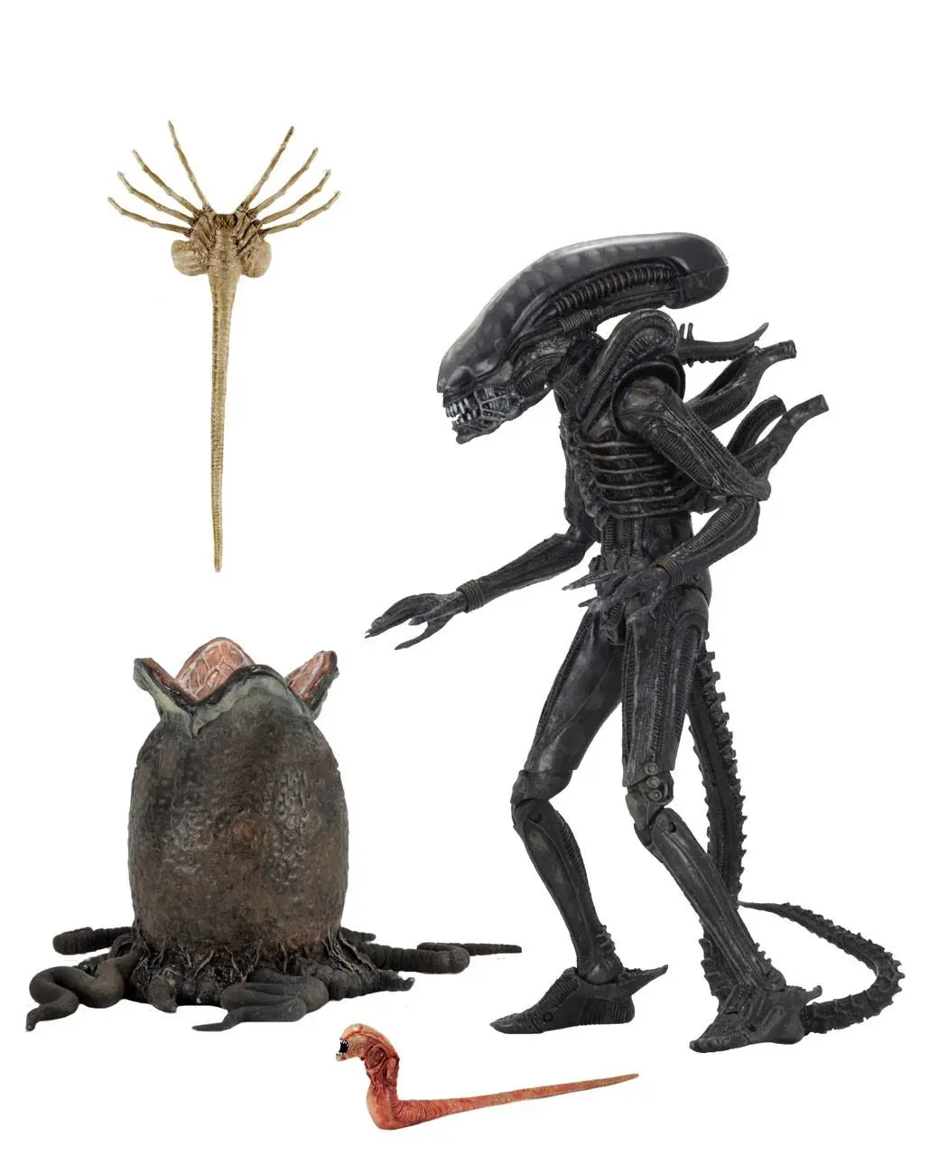 Alien 1979 Figurina de actiune Ultimate 40th Anniversary Big Chap 23 cm poza produsului