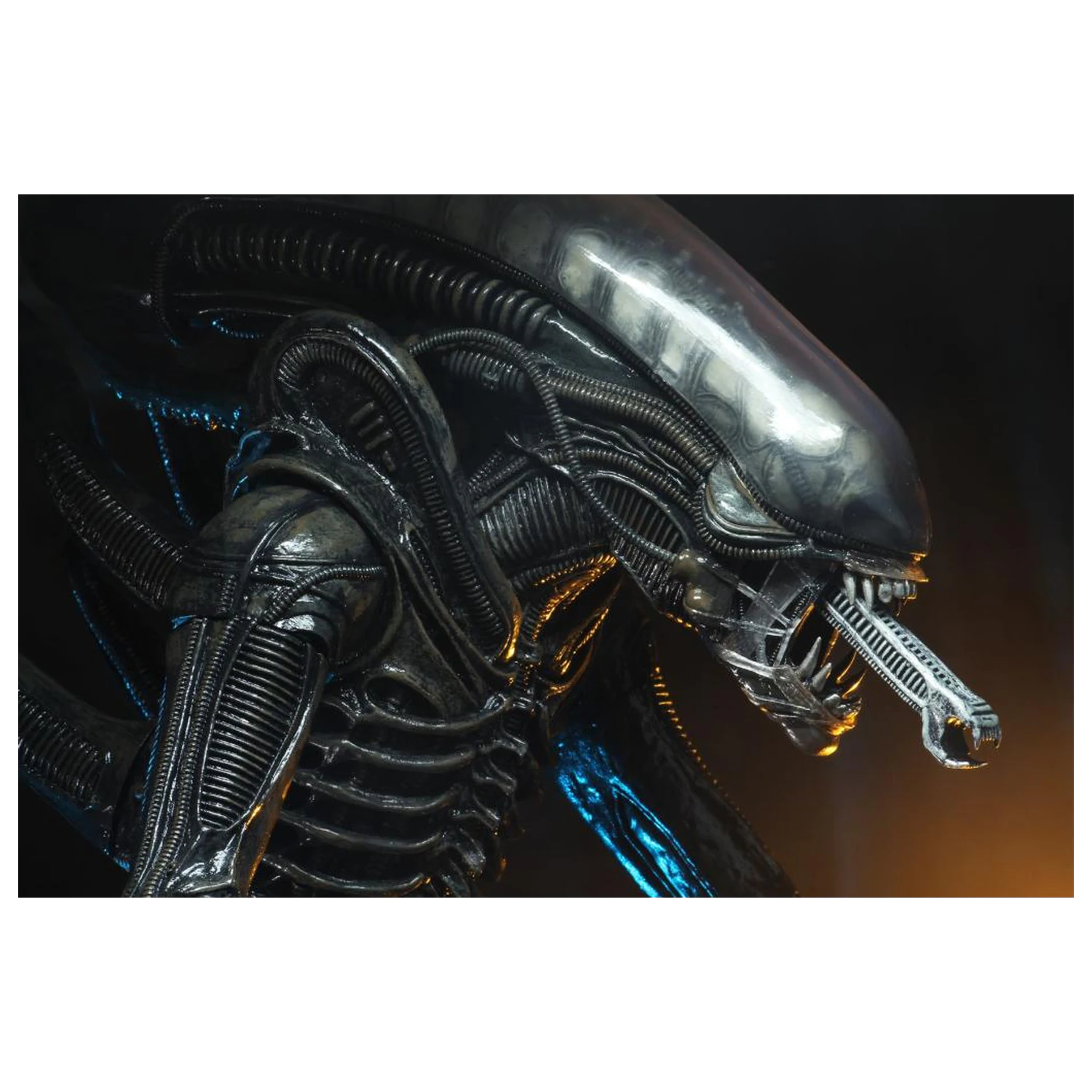 Figurina Alien Big Chap 1/4 55 cm poza produsului