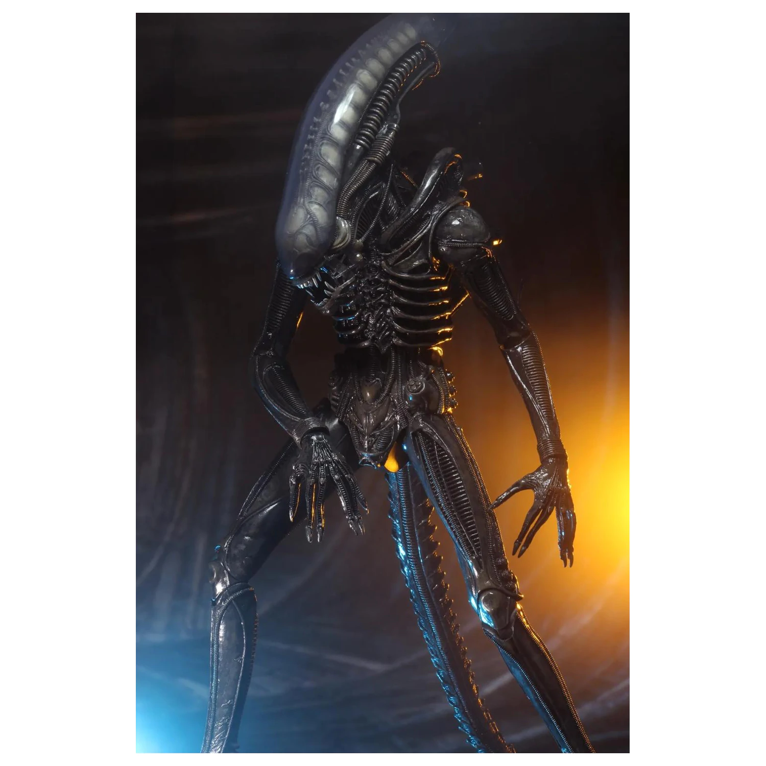 Figurina Alien Big Chap 1/4 55 cm poza produsului