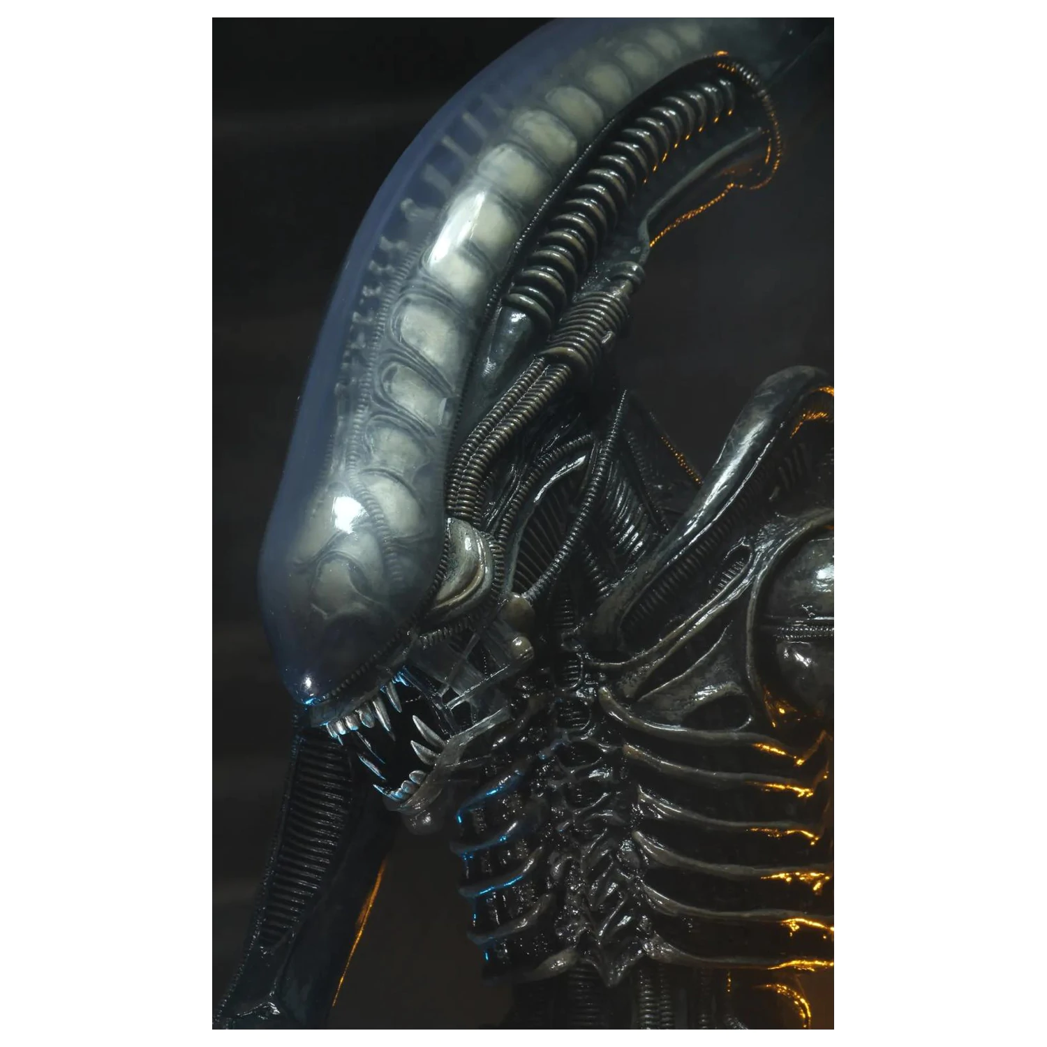 Figurina Alien Big Chap 1/4 55 cm poza produsului