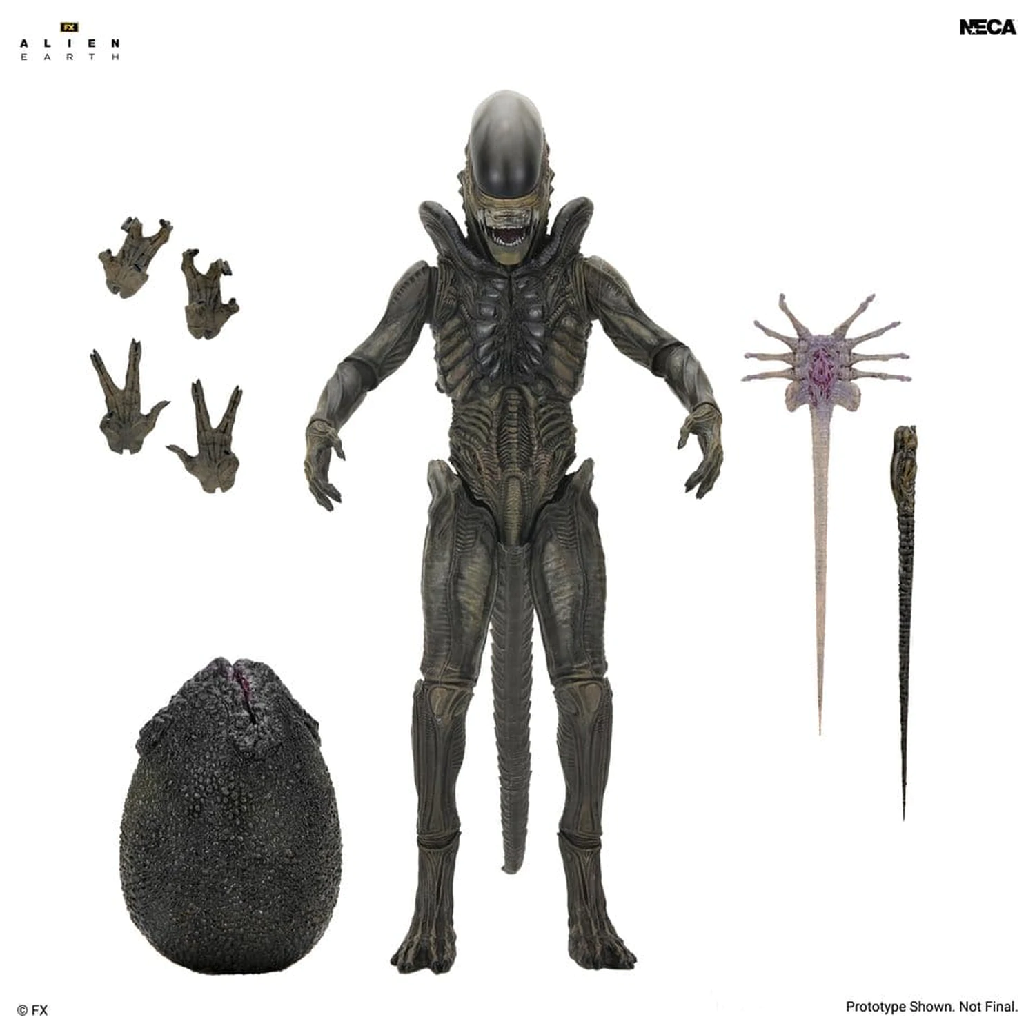 Alien: Earth Ultimate figurina de actiune Xenomorph 18 cm poza produsului