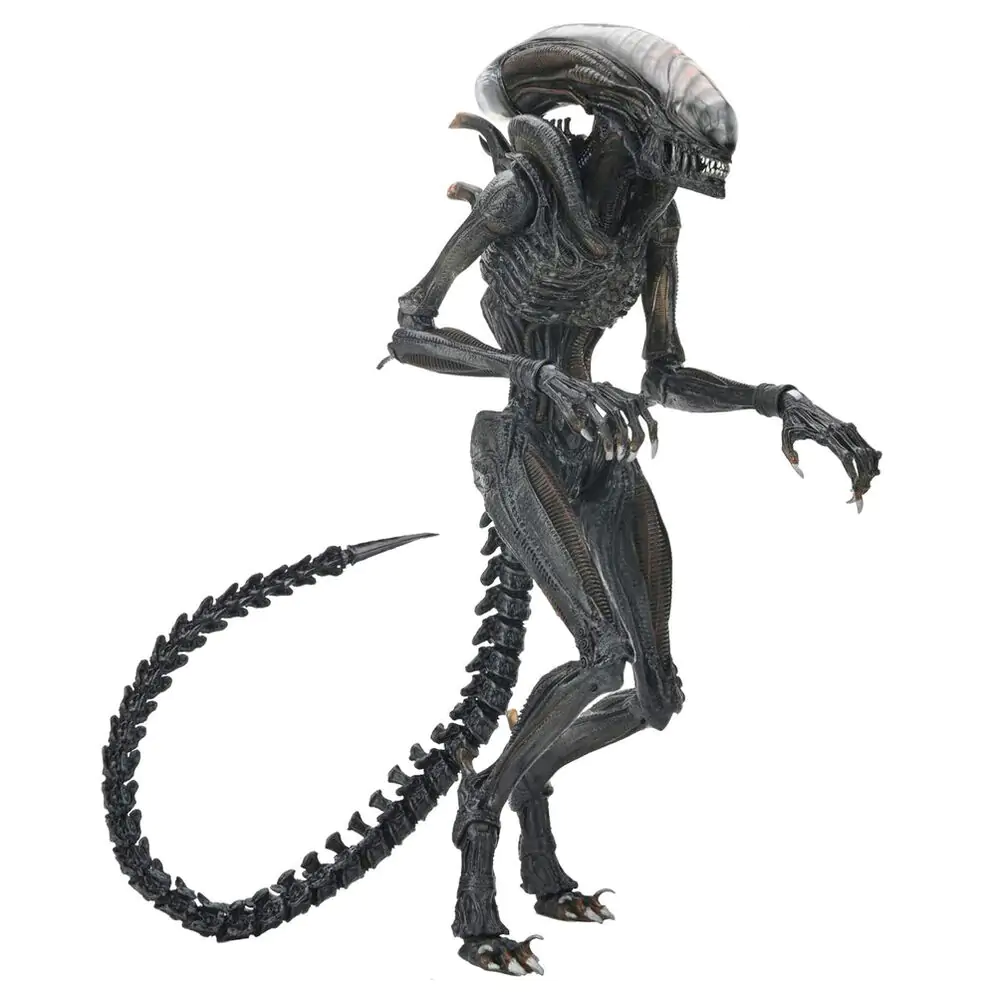 Alien Romulus Scorched Xnomorph figurină Ultimate 23cm poza produsului