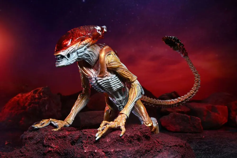 Figurină de acțiune Aliens Panther Alien (Kenner Tribute) 23 cm poza produsului