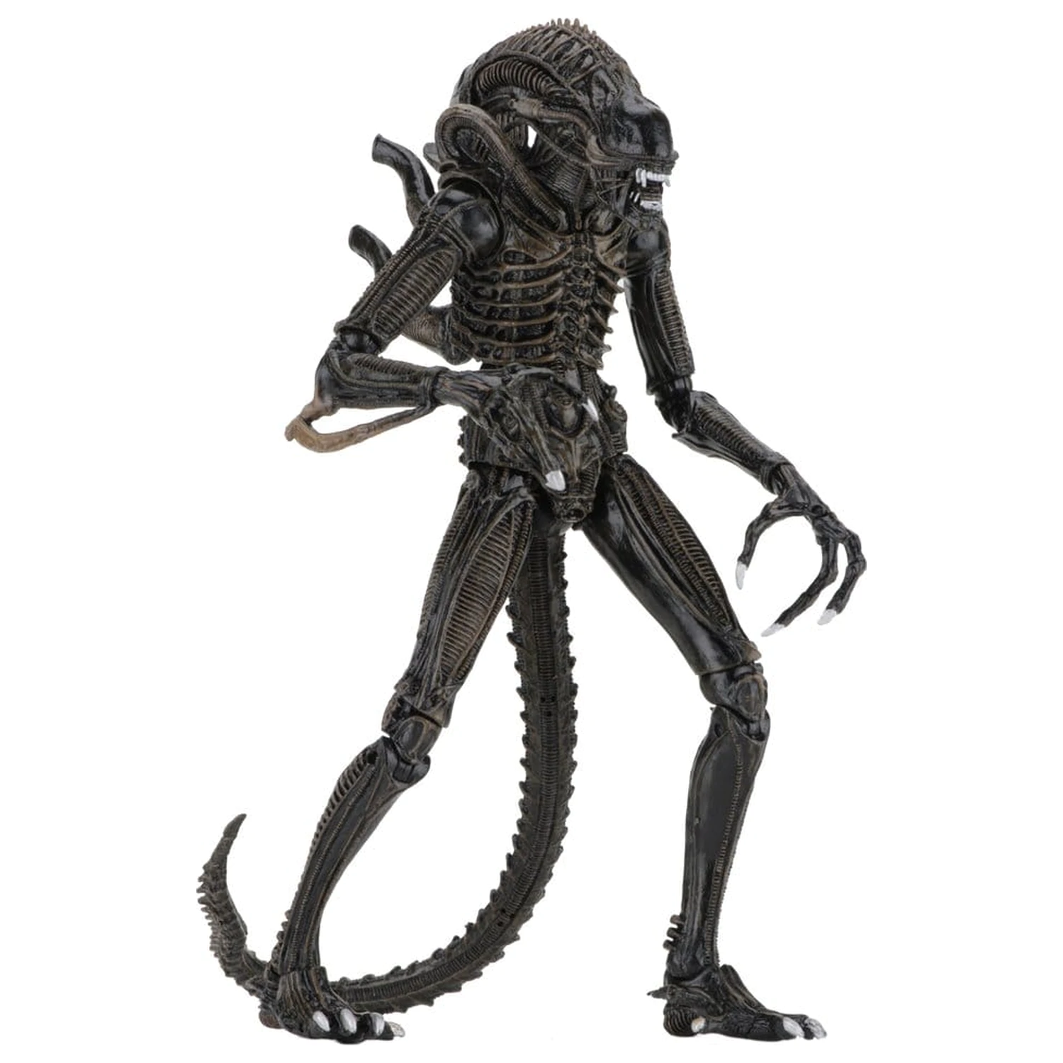 Aliens Ultimate Action Figure Warrior (1986) maro 23 cm poza produsului