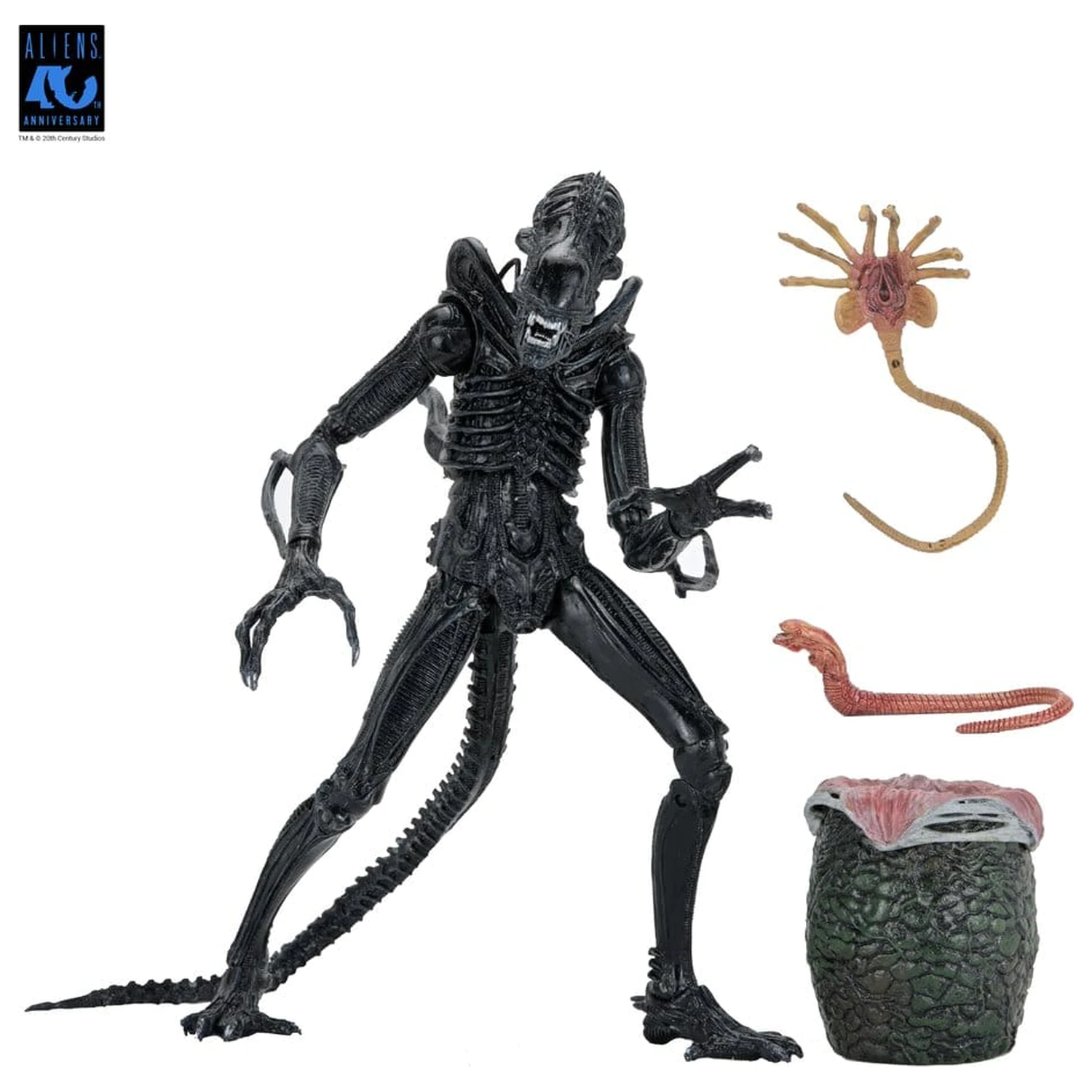 Aliens Ultimate Action Figure Warrior (1986) Xenomorph Black (40th Anniversary) 23 cm poza produsului