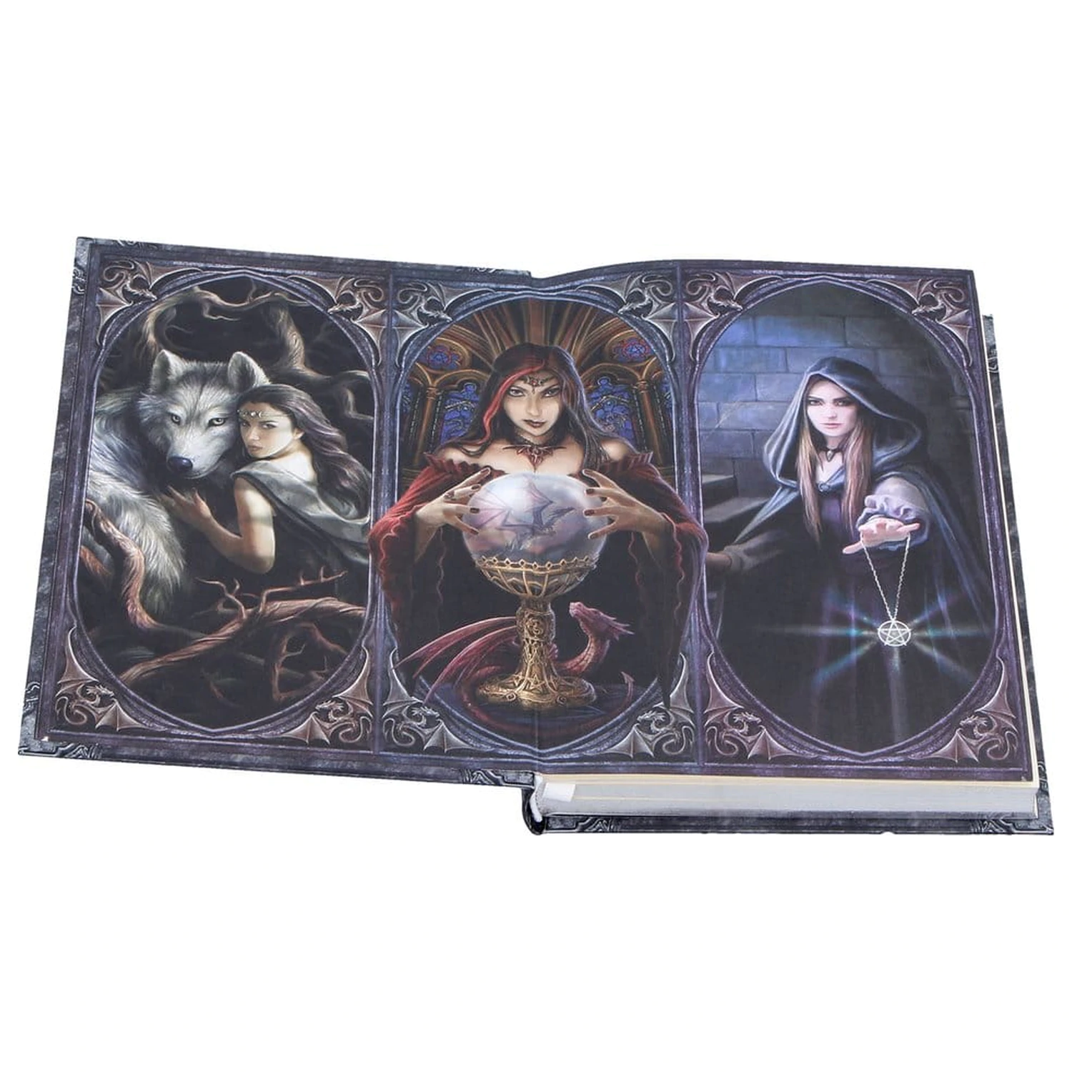 Anne Stokes Jurnalul The Book of Shadows A5 poza produsului