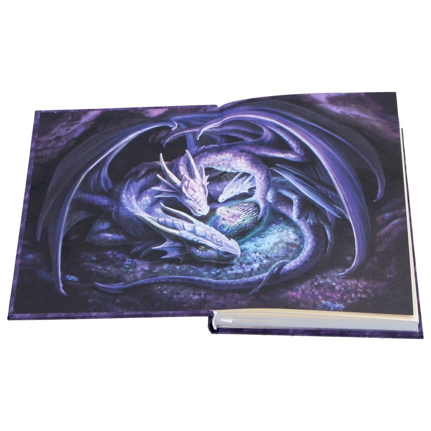Anne Stokes Jurnal Welcome Hatchling A5 poza produsului