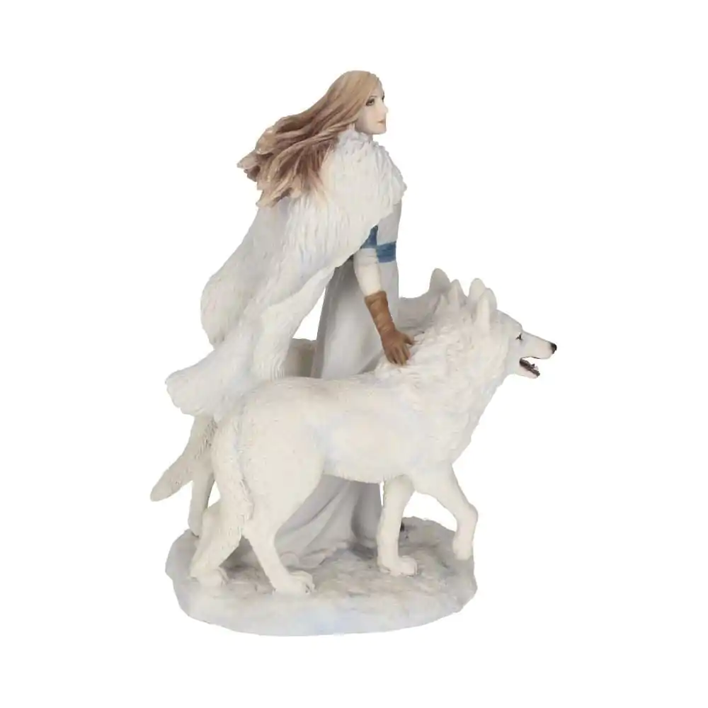 Anne Stokes Statuie Winter Guardians 23 cm poza produsului