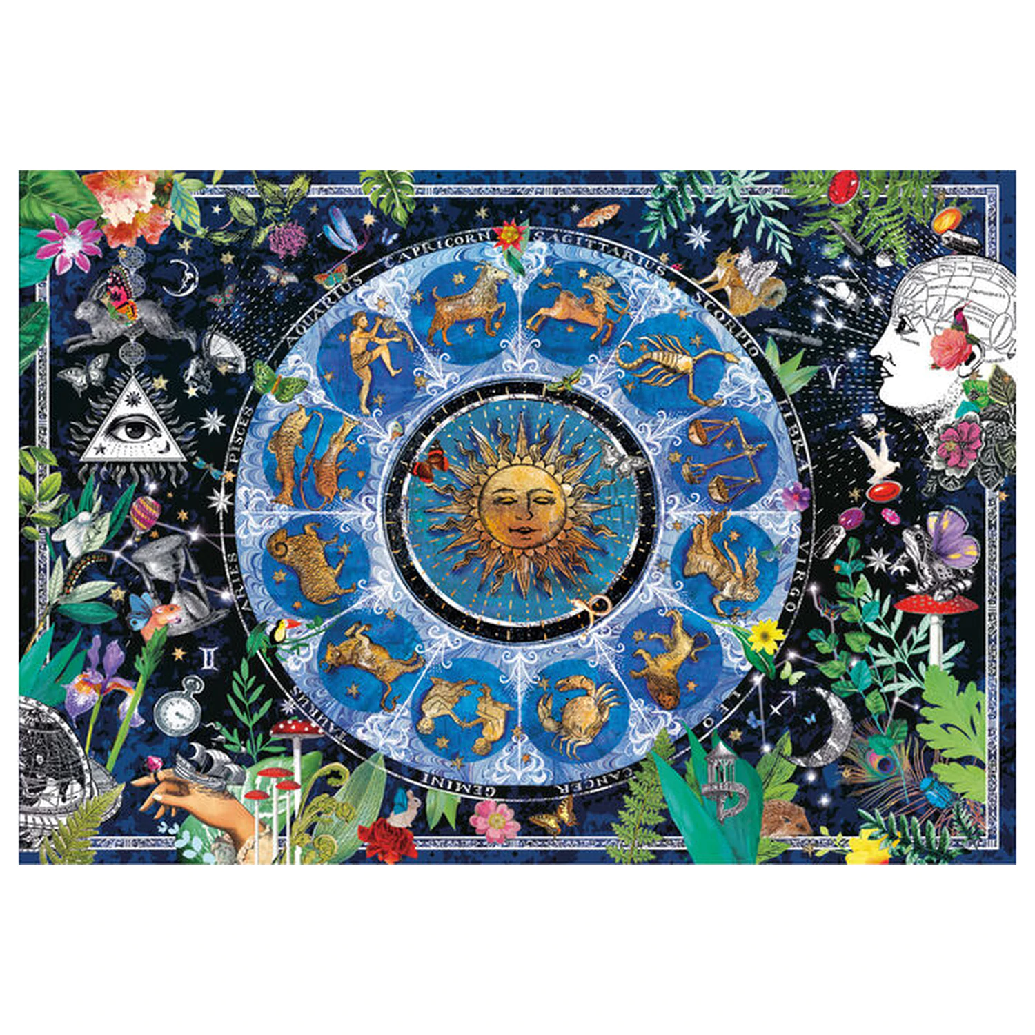 Astrological Chart puzzle 1000 piese poza produsului
