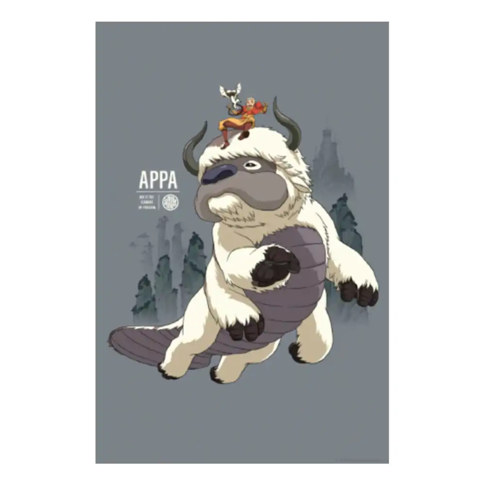 Print artistic Avatar The Last Airbender Appa & Aang ediție limitată 42 x 30 cm poza produsului