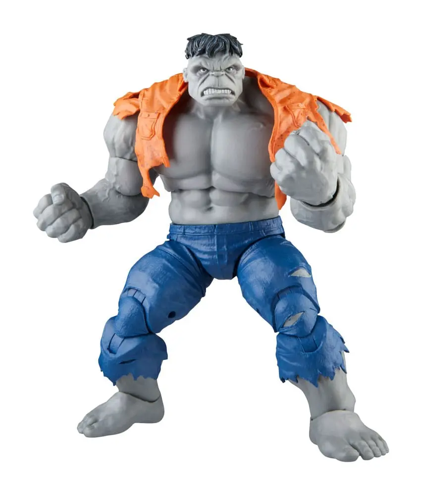 Avengers Marvel Legends Figurine de acțiune Gray Hulk & Dr. Bruce Banner 15 cm poza produsului