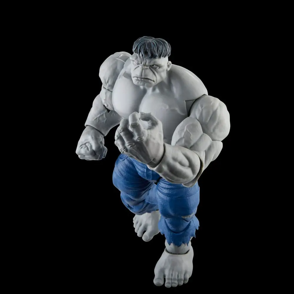 Avengers Marvel Legends Figurine de acțiune Gray Hulk & Dr. Bruce Banner 15 cm poza produsului