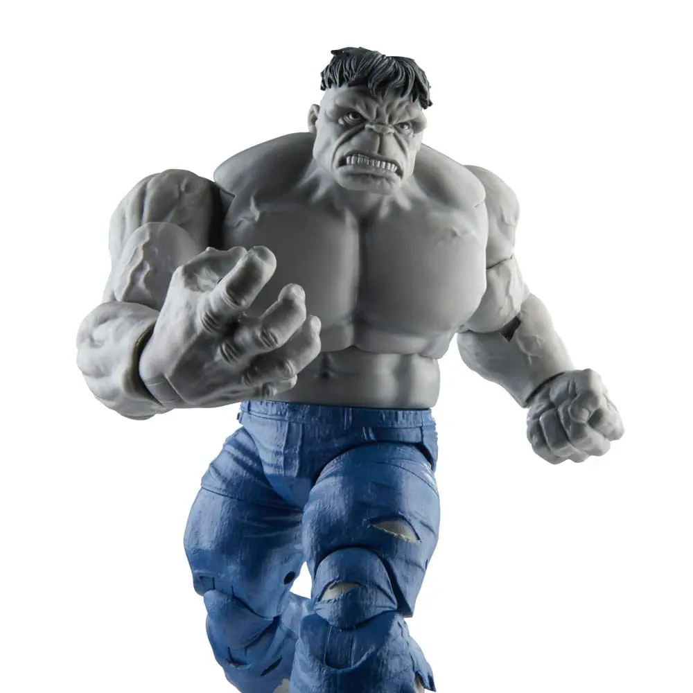 Avengers Marvel Legends Figurine de acțiune Gray Hulk & Dr. Bruce Banner 15 cm poza produsului