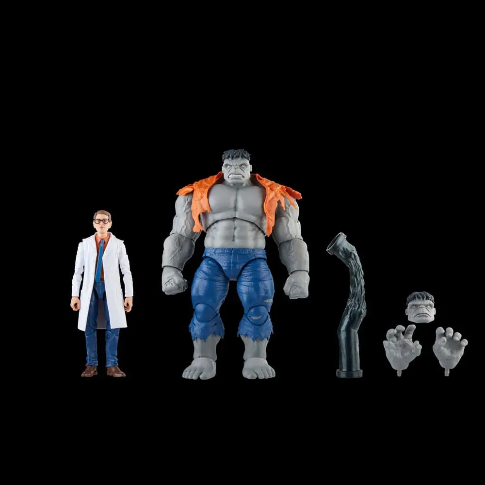 Avengers Marvel Legends Figurine de acțiune Gray Hulk & Dr. Bruce Banner 15 cm poza produsului