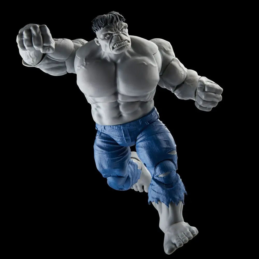 Avengers Marvel Legends Figurine de acțiune Gray Hulk & Dr. Bruce Banner 15 cm poza produsului