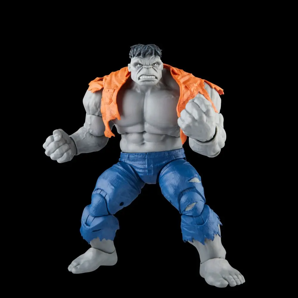 Avengers Marvel Legends Figurine de acțiune Gray Hulk & Dr. Bruce Banner 15 cm poza produsului