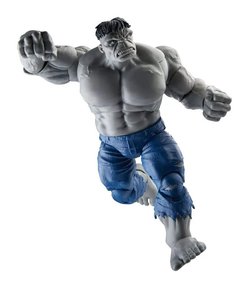 Avengers Marvel Legends Figurine de acțiune Gray Hulk & Dr. Bruce Banner 15 cm poza produsului