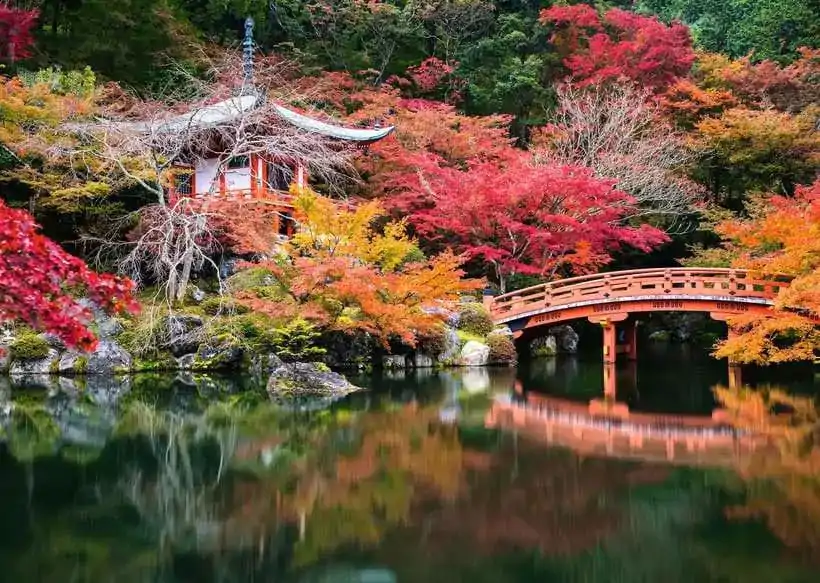 Puzzle cu grădini frumoase Daigo-ji, Kyoto, Japan (1000 piese) poza produsului