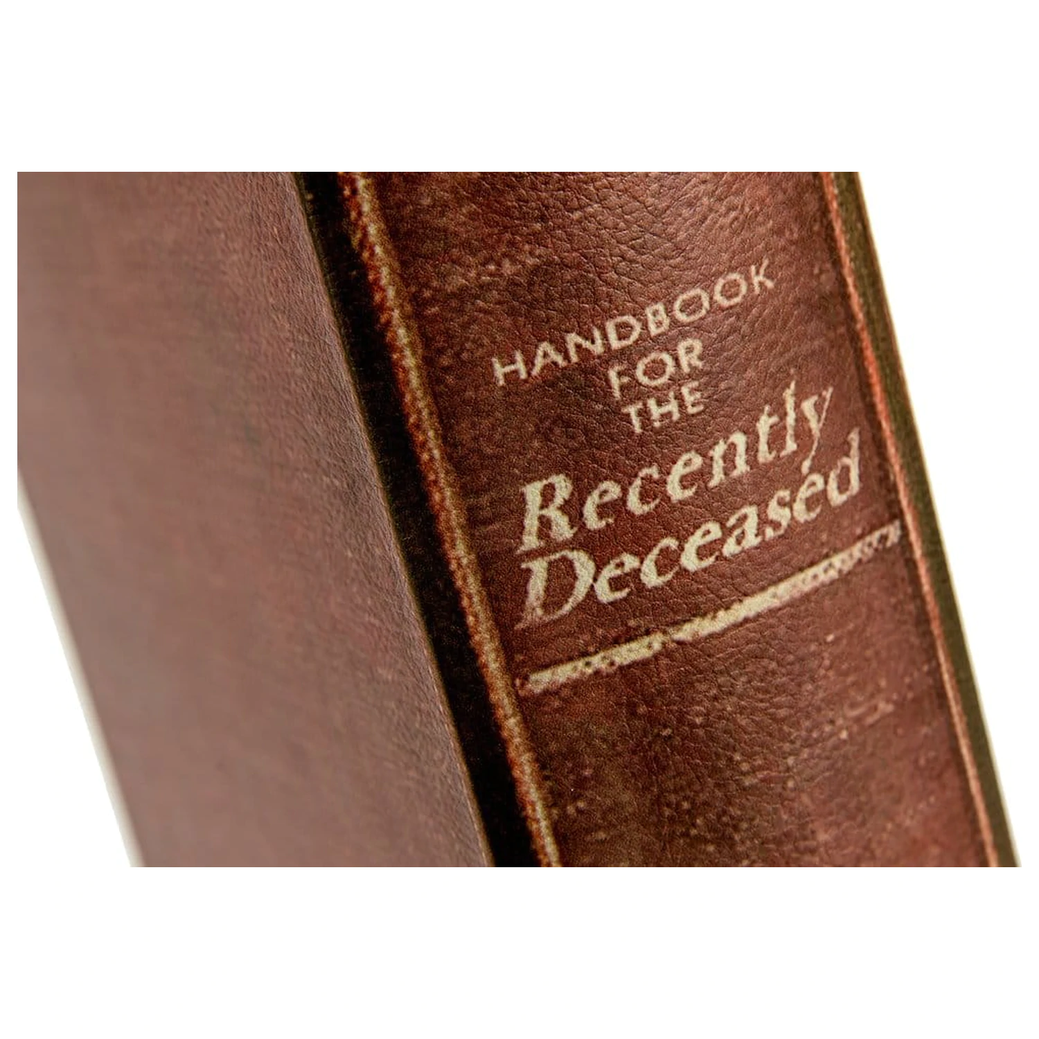 Beetlejuice Replica Box Handbook for the Recently Deceased cutie de depozitare poza produsului