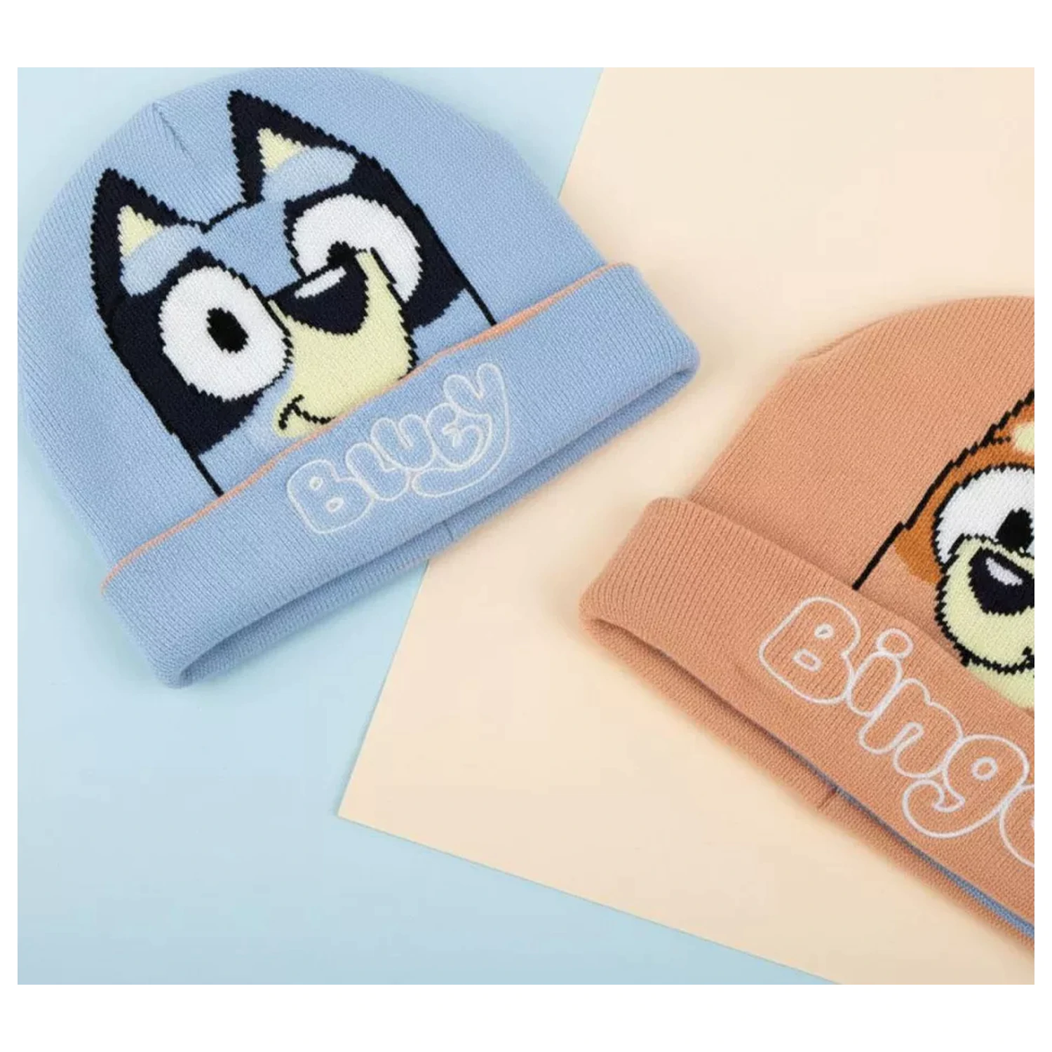 Sapca reversibila pentru copii Bluey Bingo poza produsului