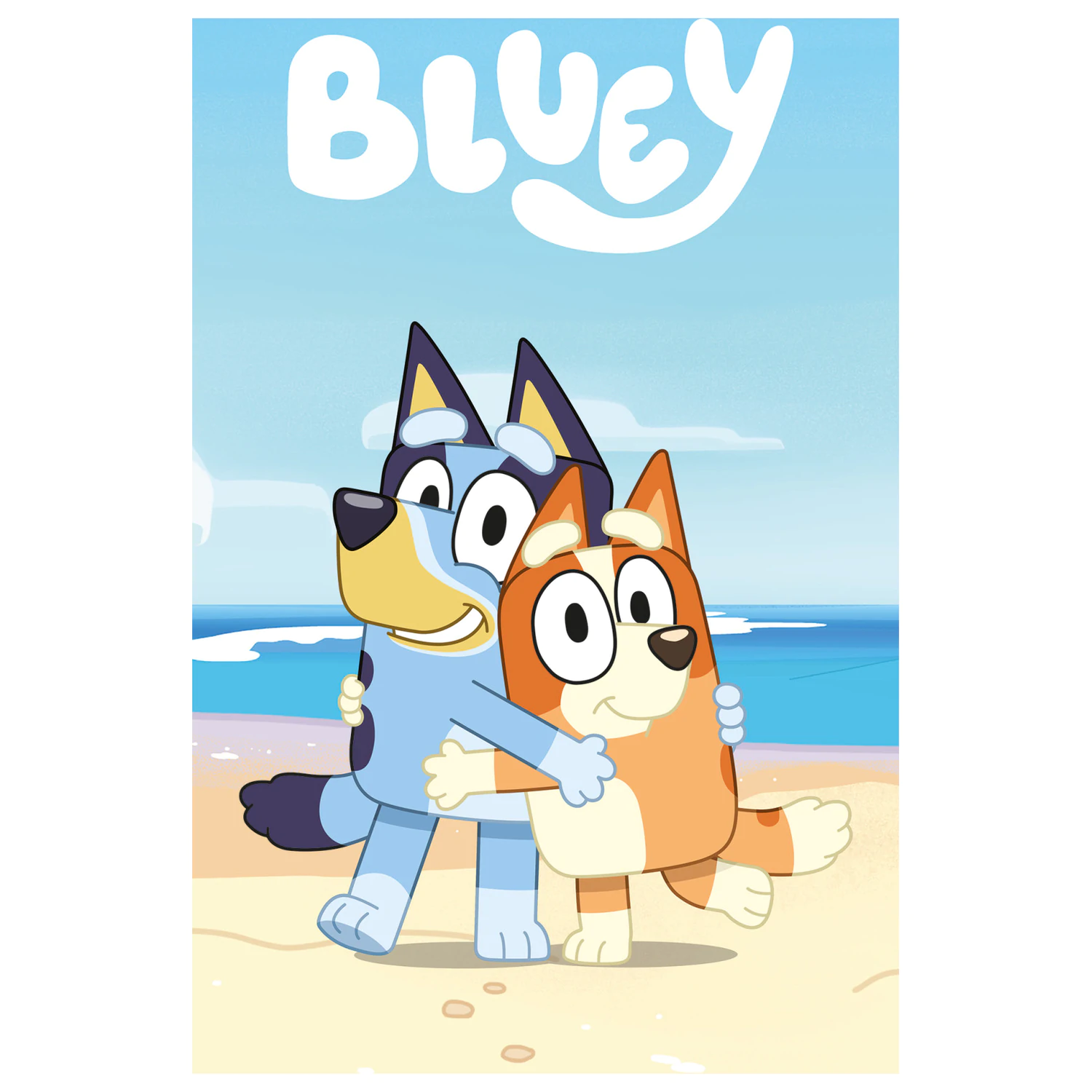 Bluey pătura confortabilă din fleece poza produsului