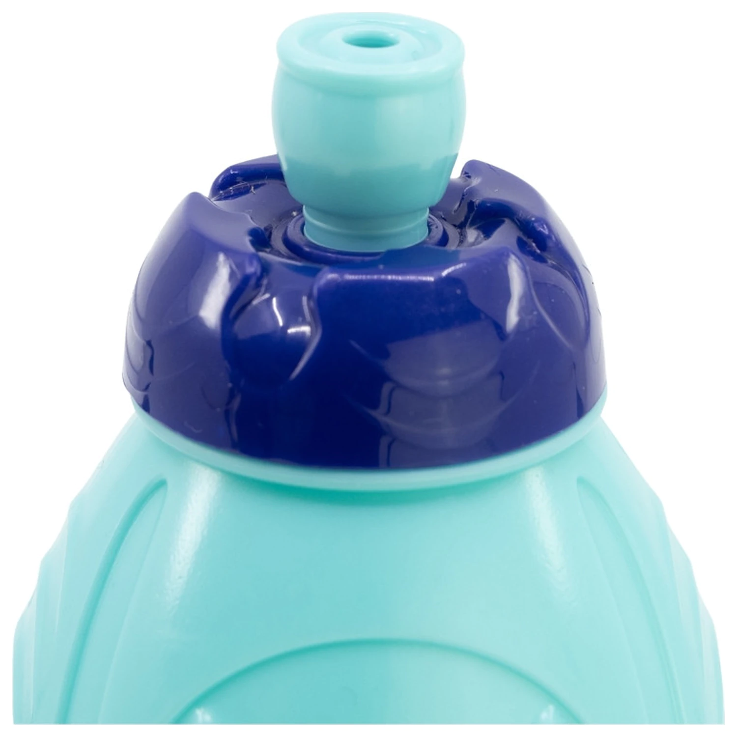 Bluey Frunze Sticla Sport din Plastic 400 ml poza produsului