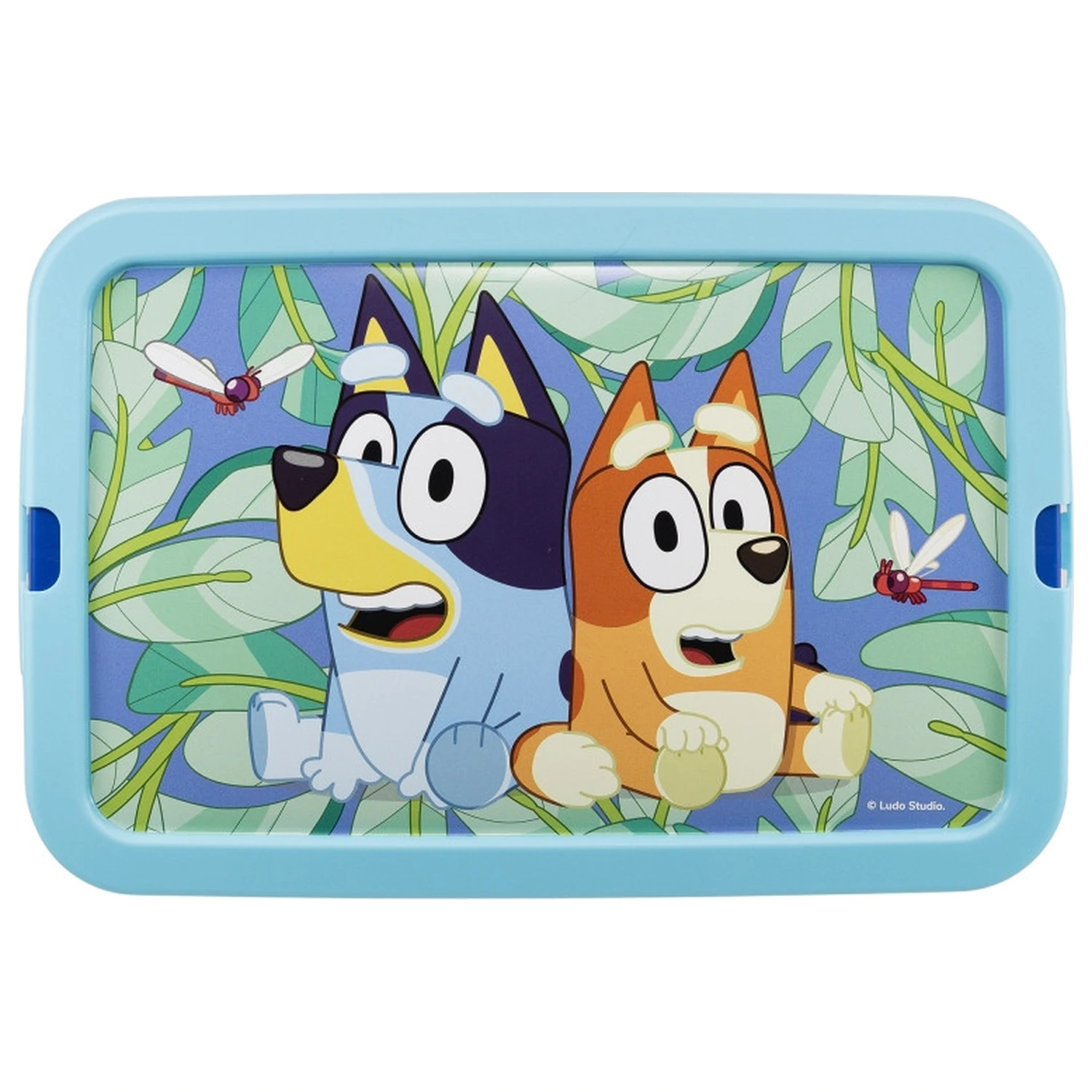 Bluey Leaves cutie de depozitare din plastic 7 L poza produsului