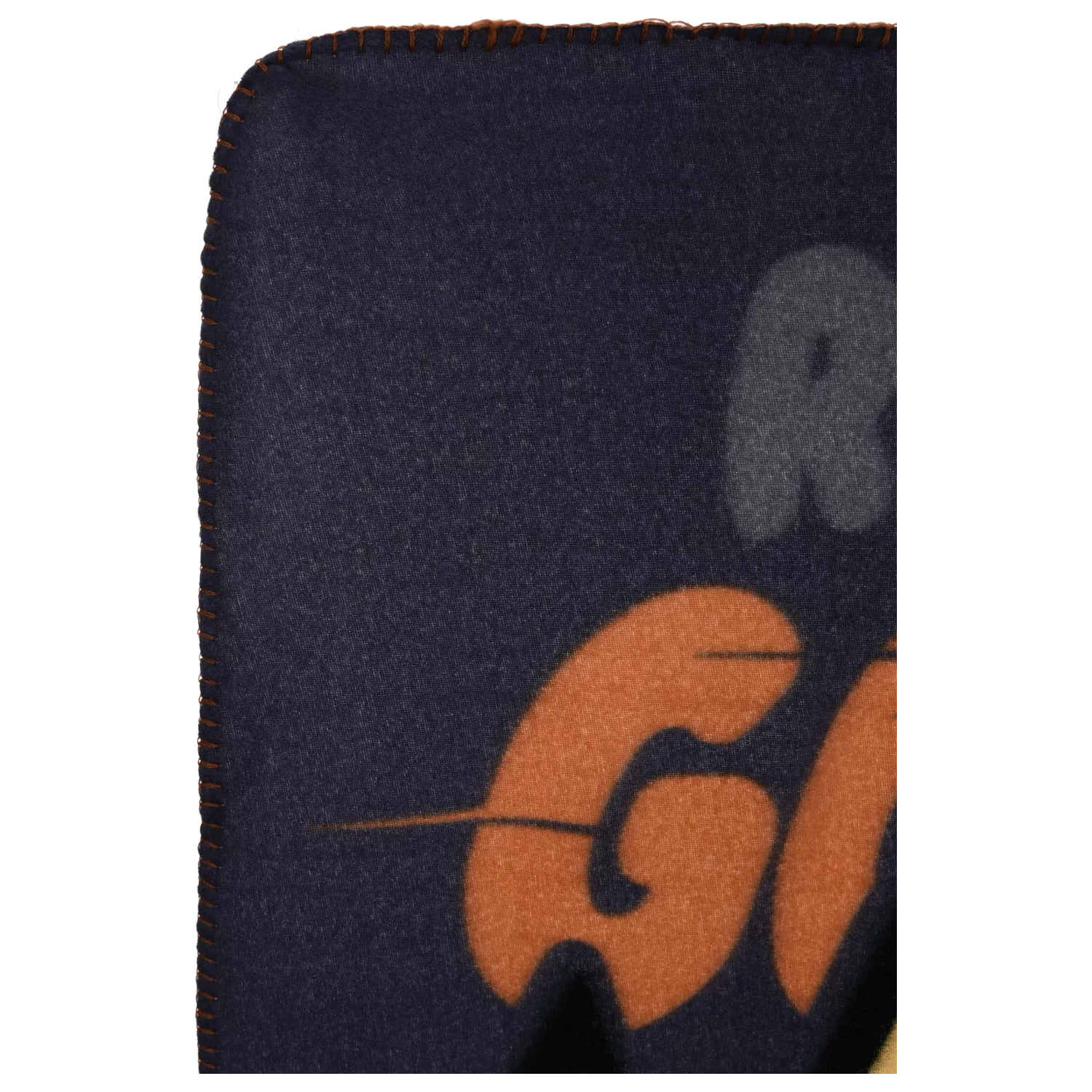 Patura fleece Bluey Skate Park 100x150cm poza produsului