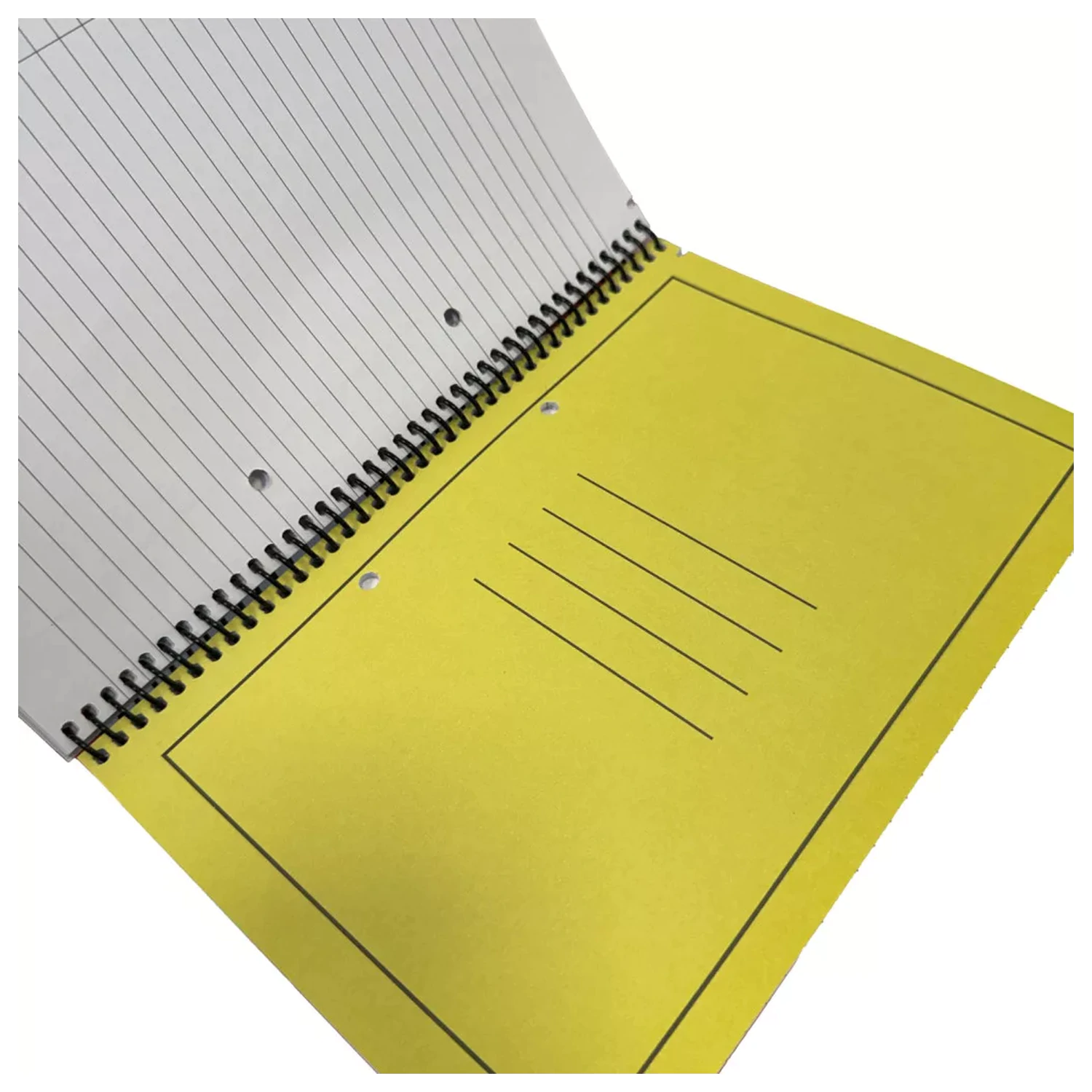 Brainrot Green B/5 Lined Spiral Notebook, 70 Foi poza produsului