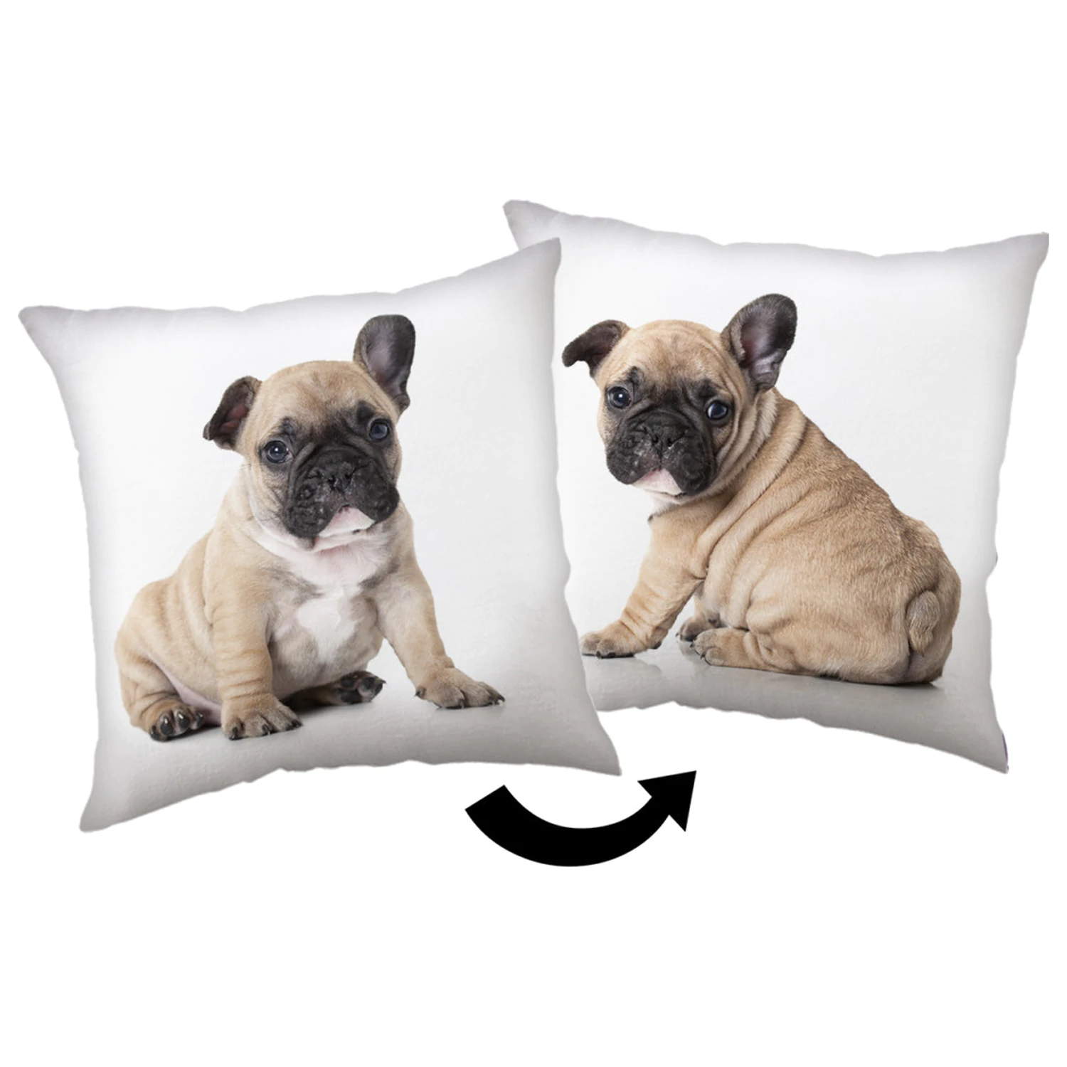 Perna Bulldog poza produsului