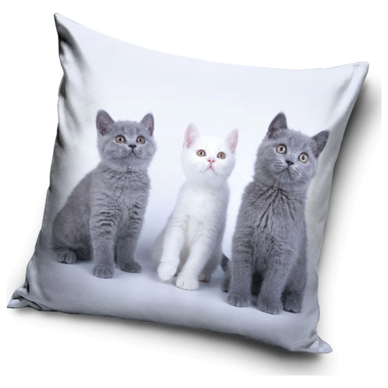 Cat Trio față de pernă poza produsului