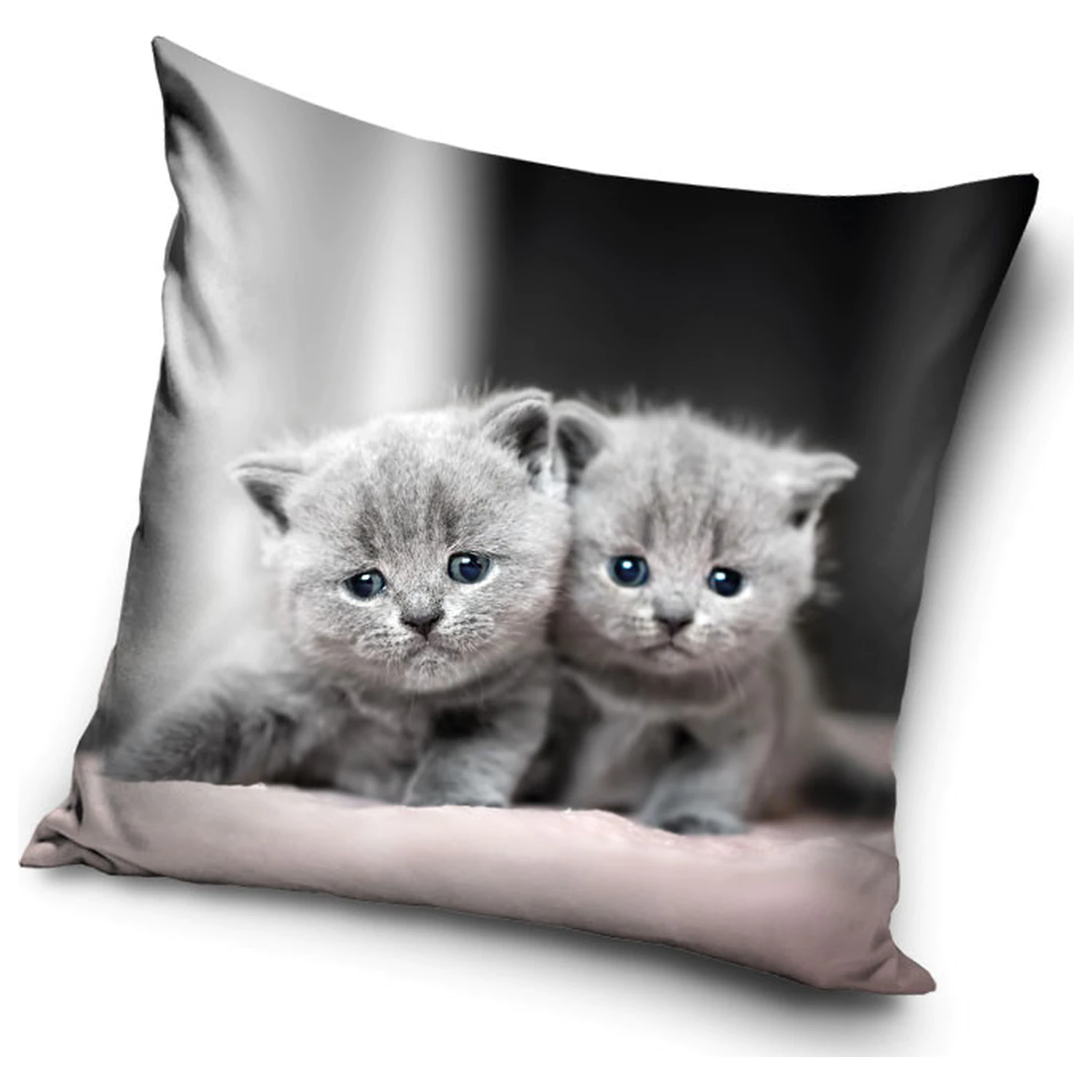 Kitty Twins Față de pernă poza produsului