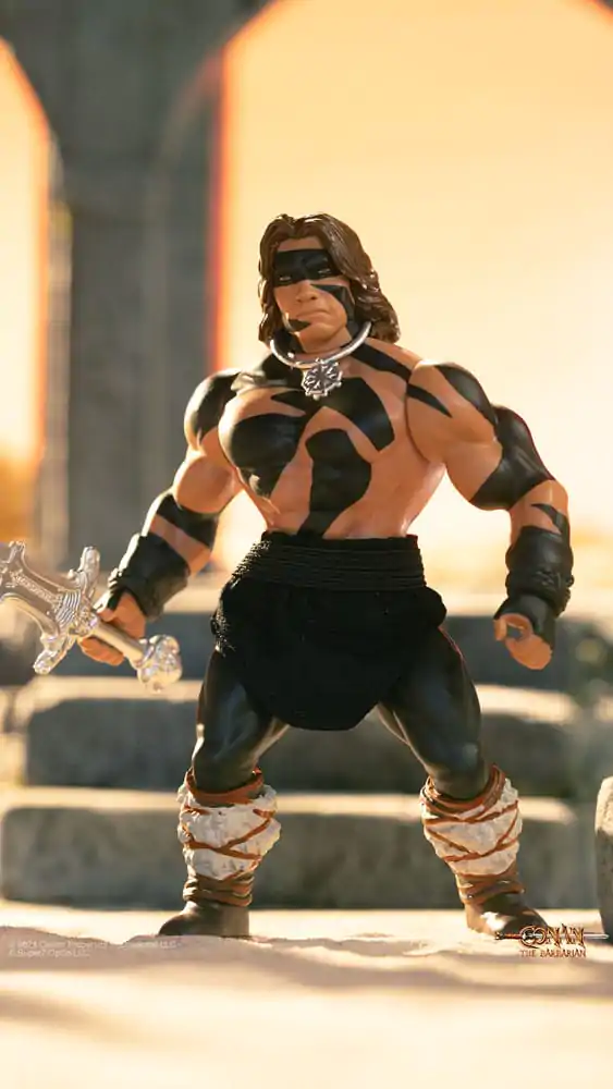 Conan the Barbarian 1982 Vintage Collection Figurina de acțiune Wave 1 Conan Warpaint Ver. 14 cm poza produsului