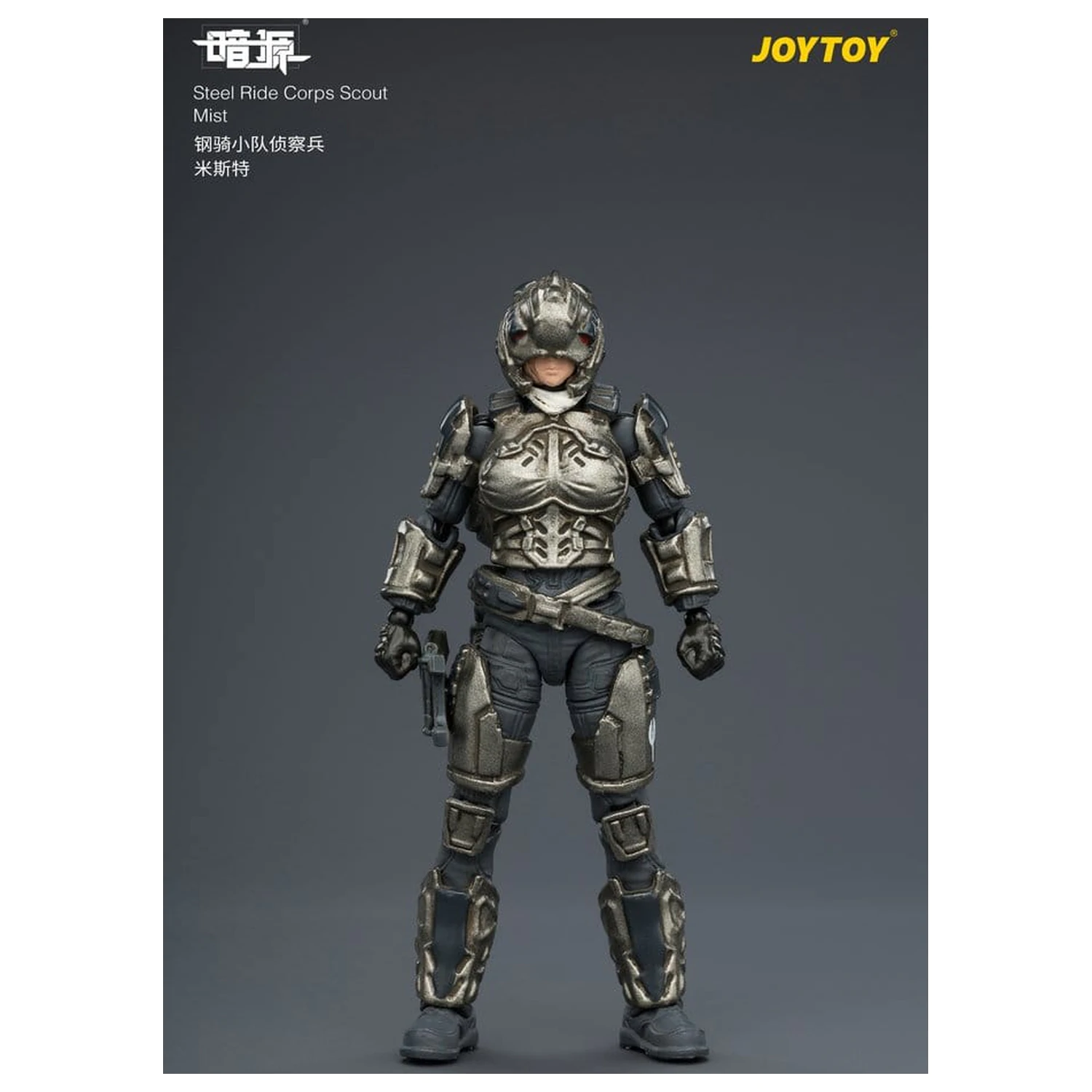 Dark Source Steel Ride Corps Figurina de actiune Scout Mist 8 cm poza produsului