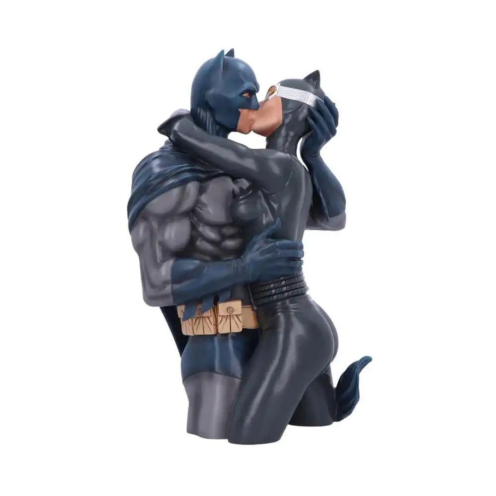 DC Comics Bust Batman & Catwoman 30 cm poza produsului