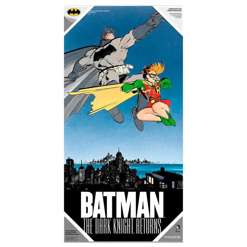 DC Comics Batman and Robin poster din sticlă poza produsului